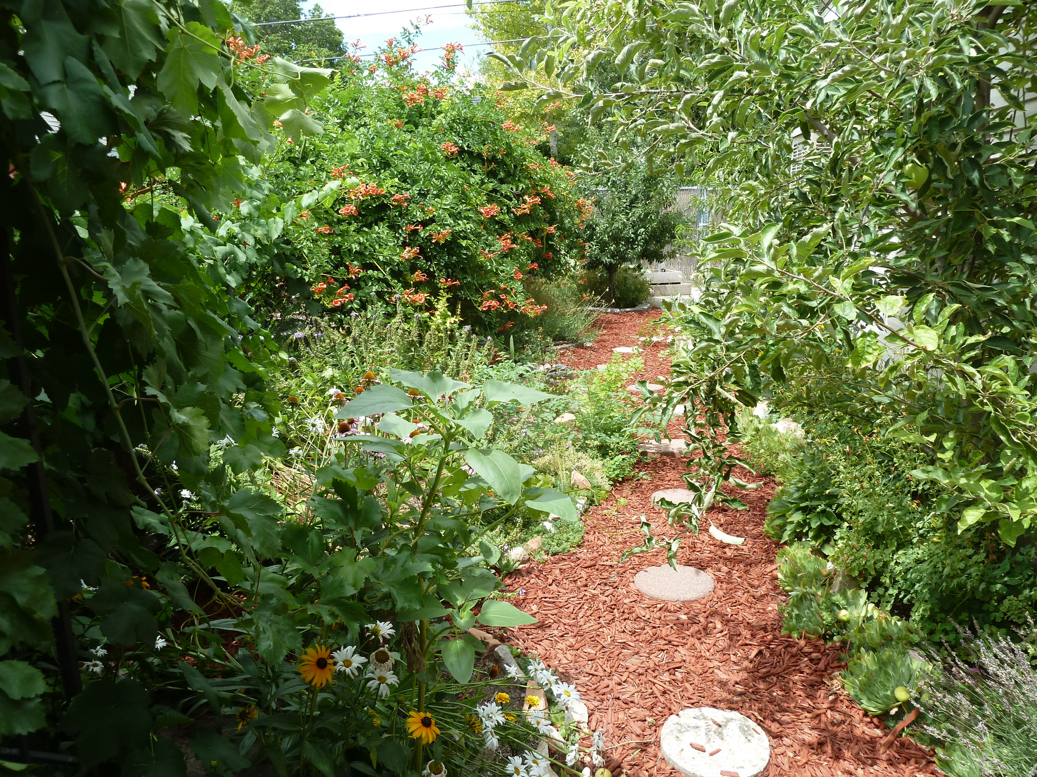 main property photo 13