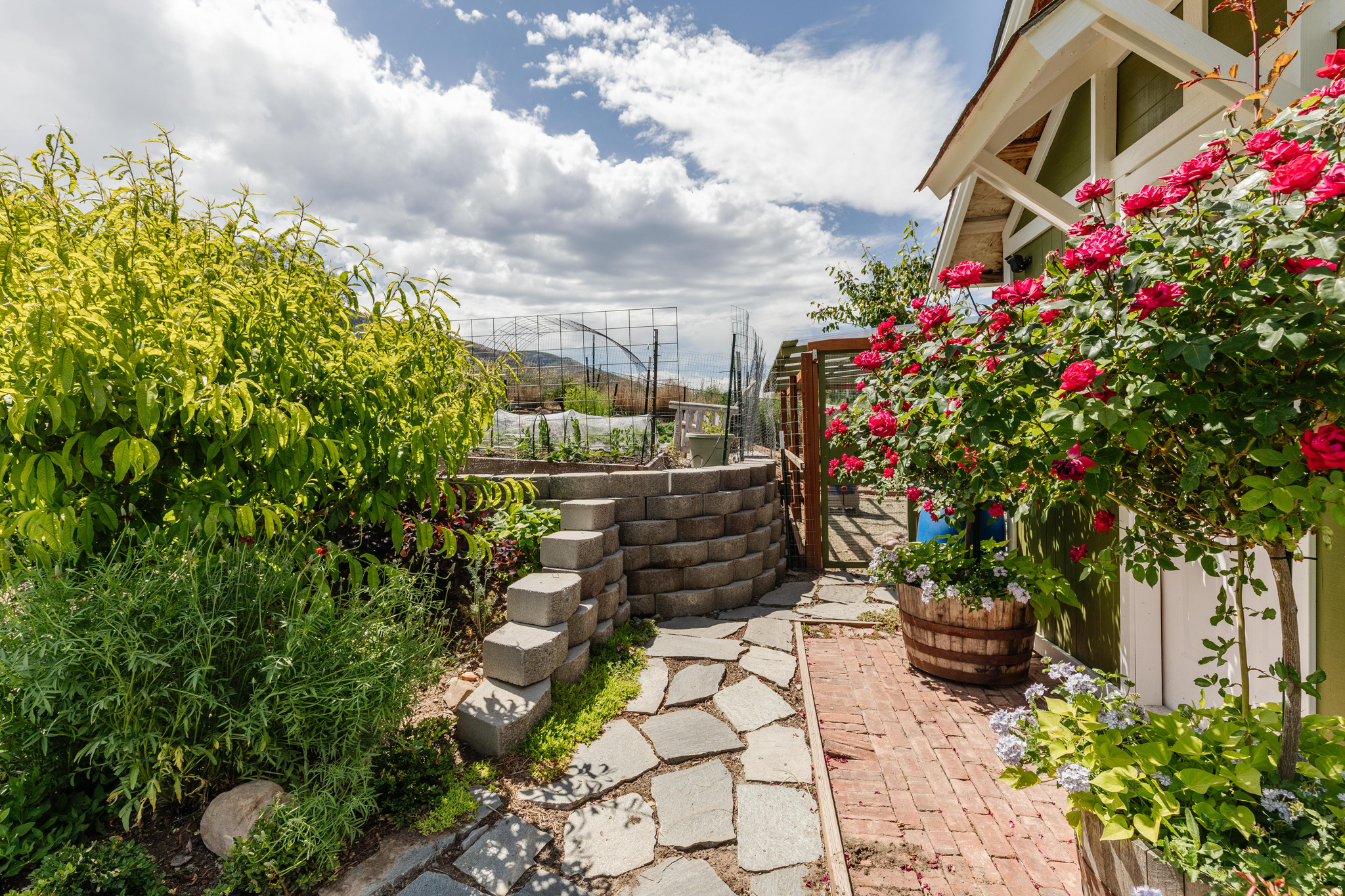 main property photo 46