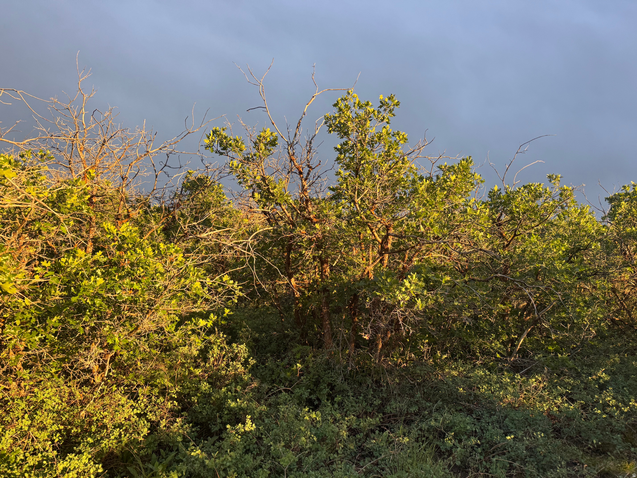 main property photo 11