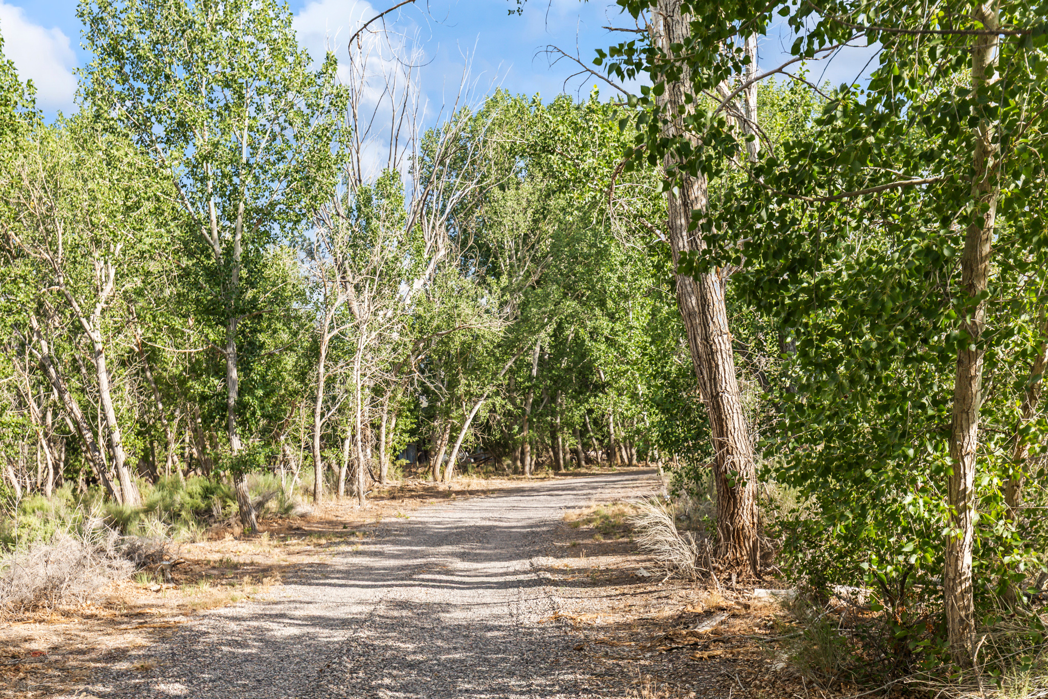 main property photo 86