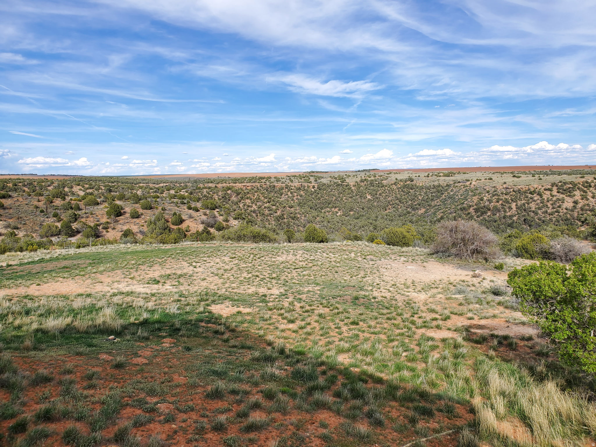 main property photo 38