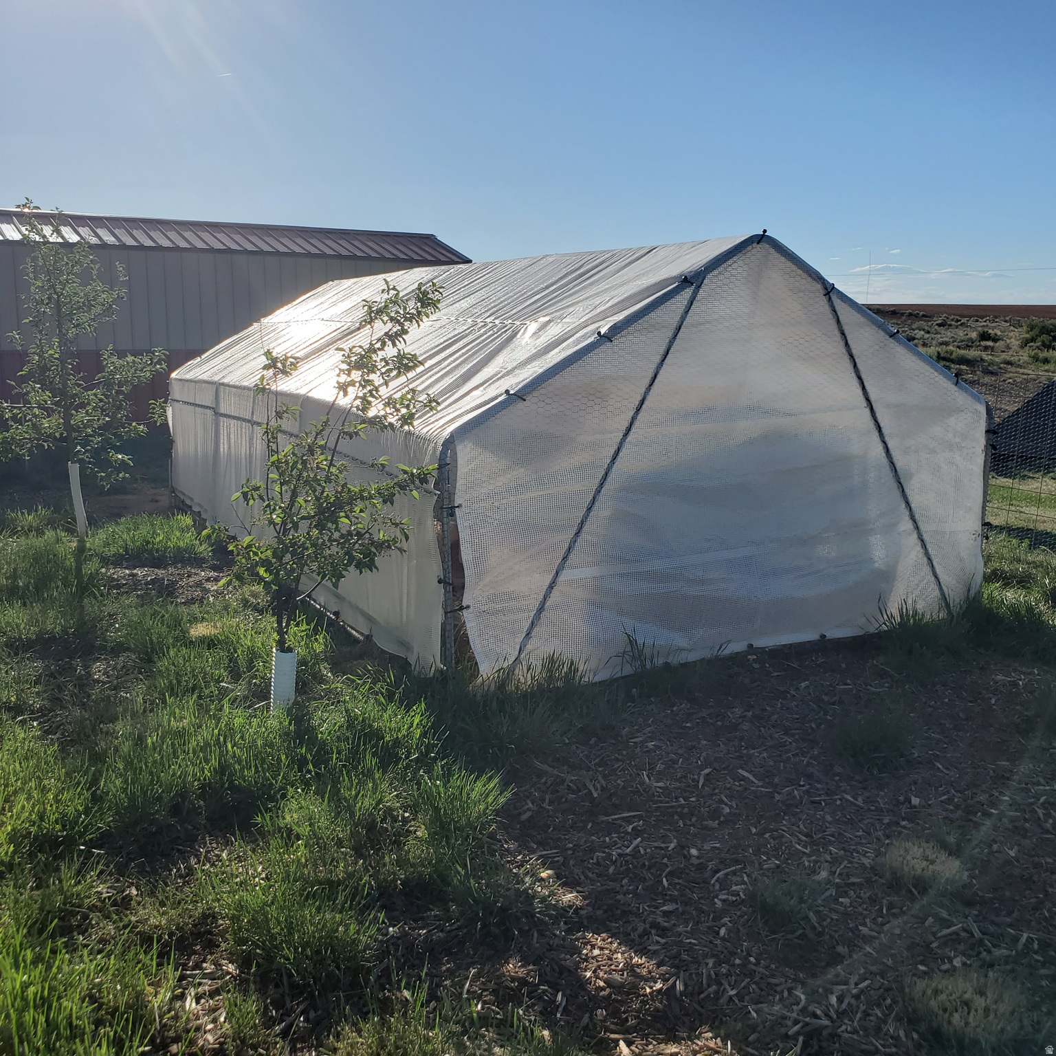 main property photo 54