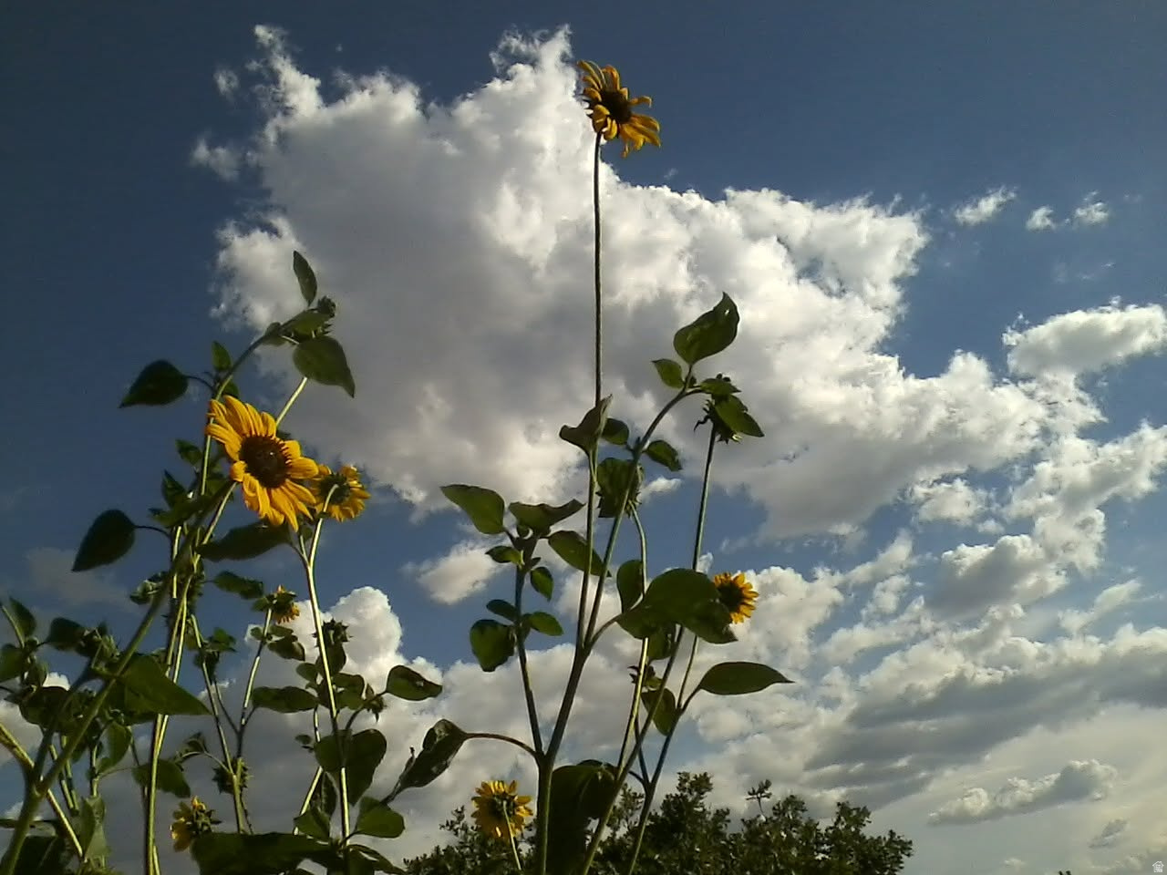 main property photo 57