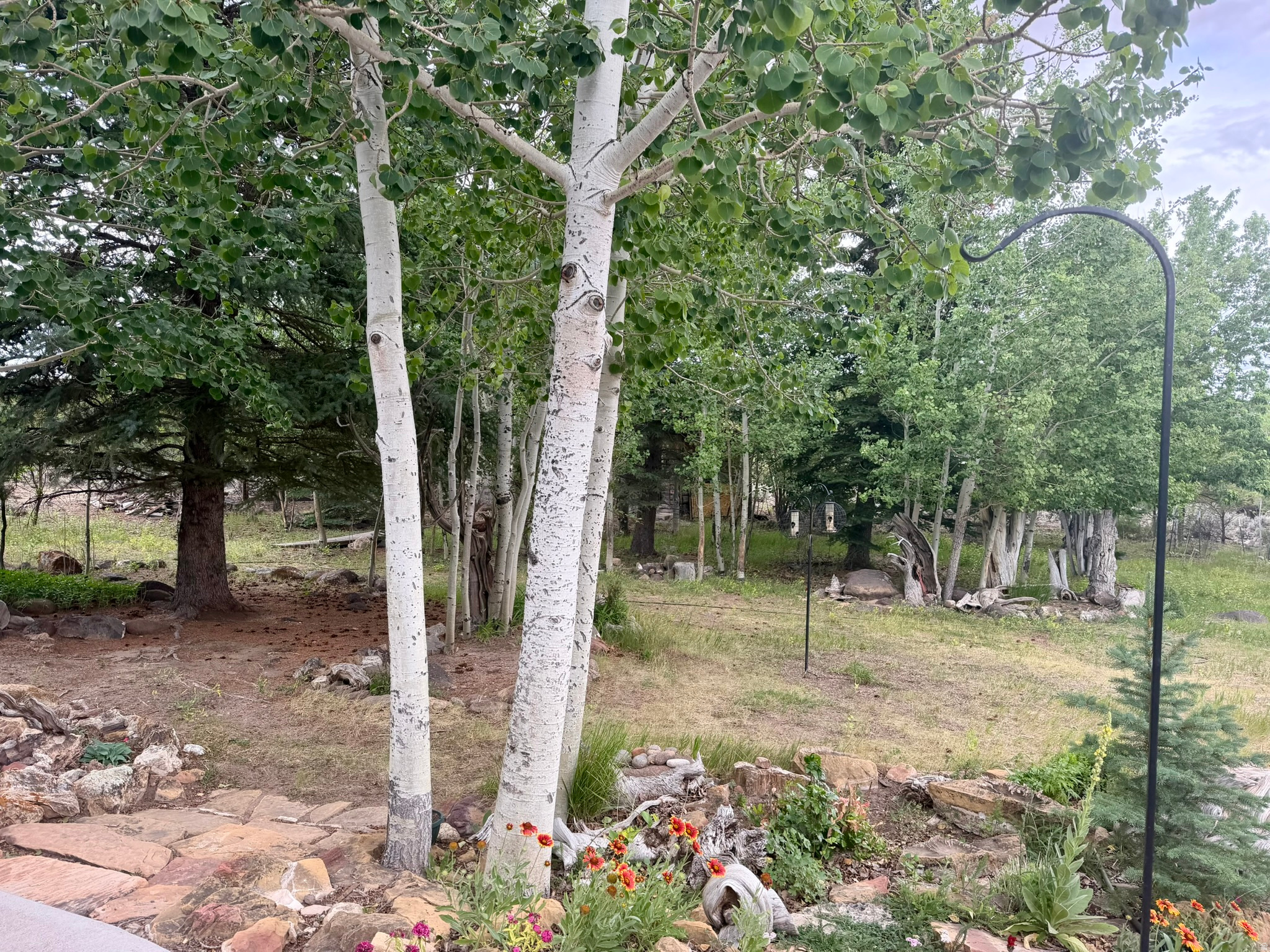 main property photo 58