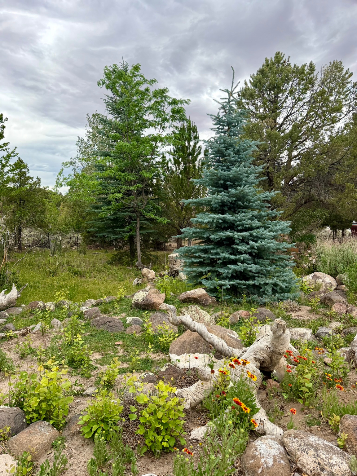 main property photo 62