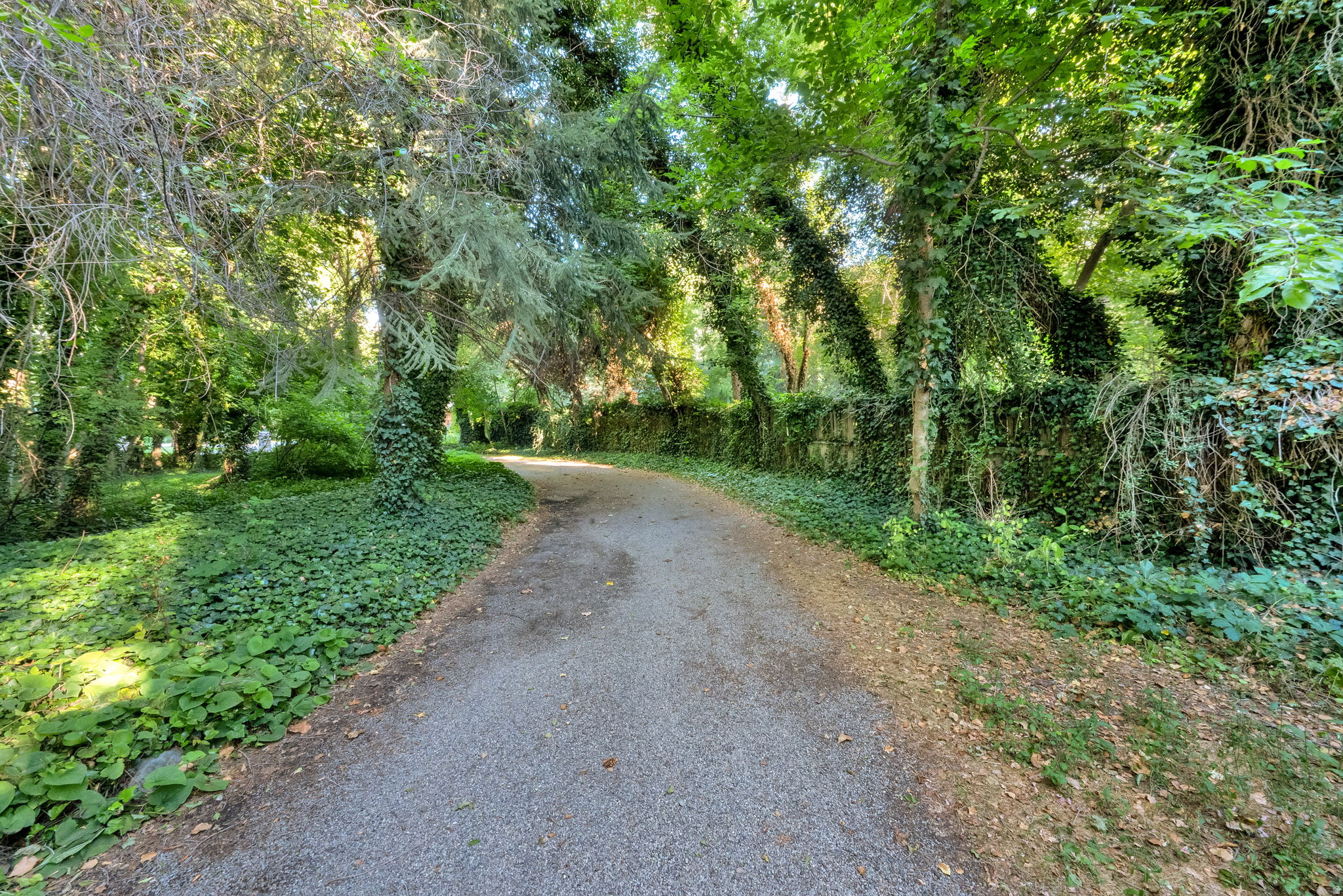 main property photo 40