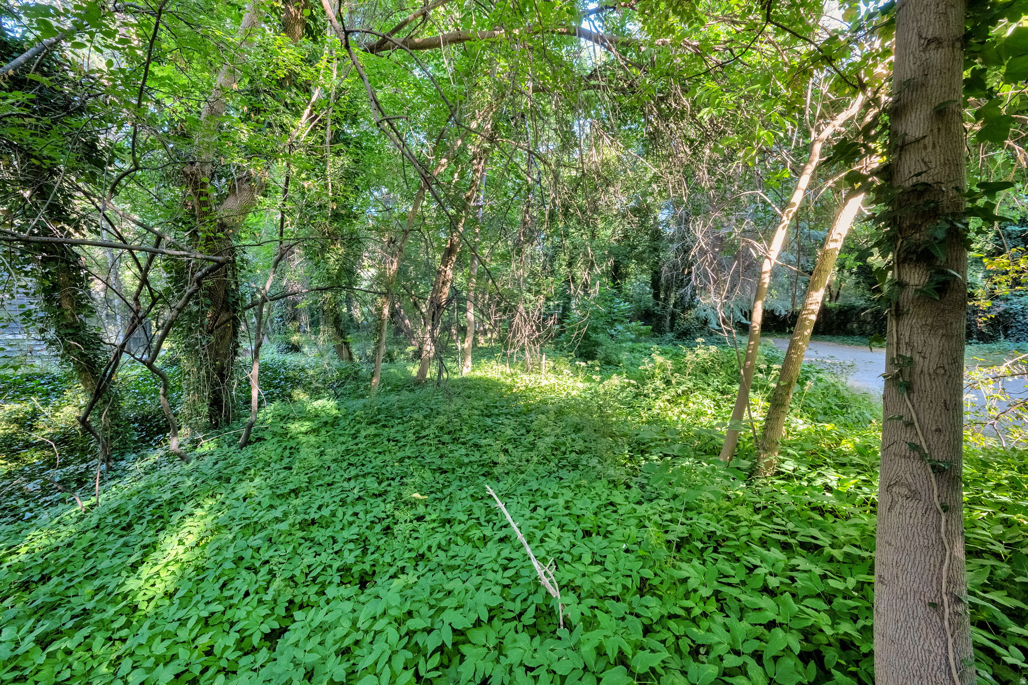 main property photo 42
