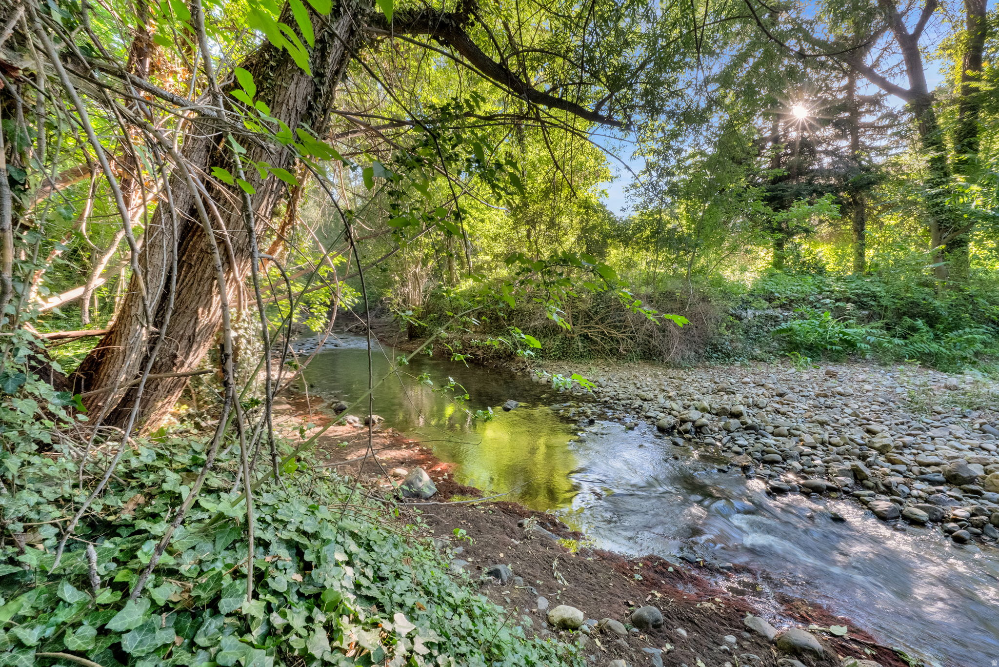 main property photo 47