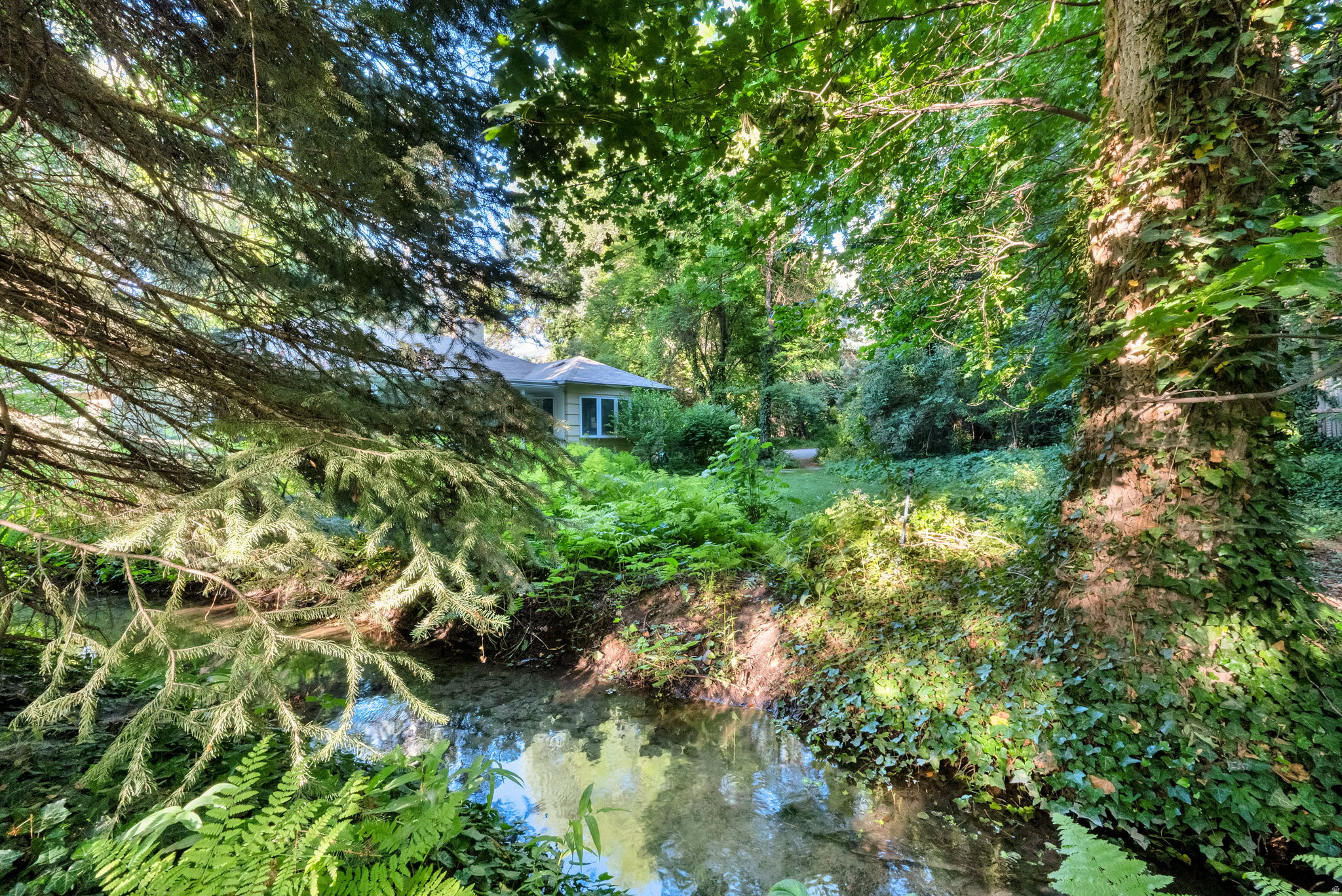 main property photo 49