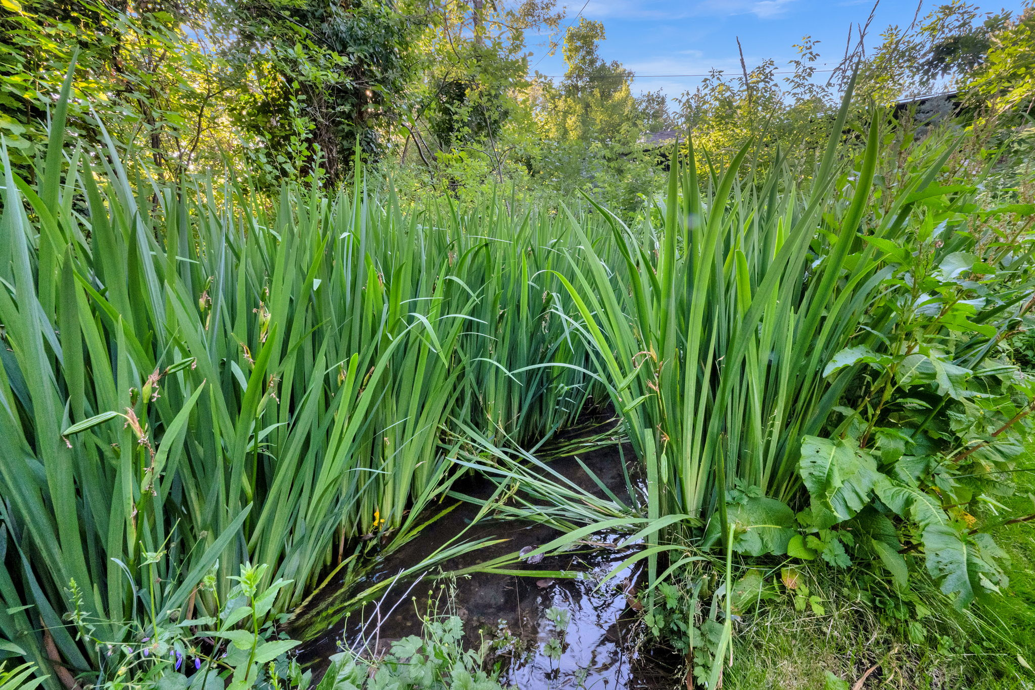 main property photo 51