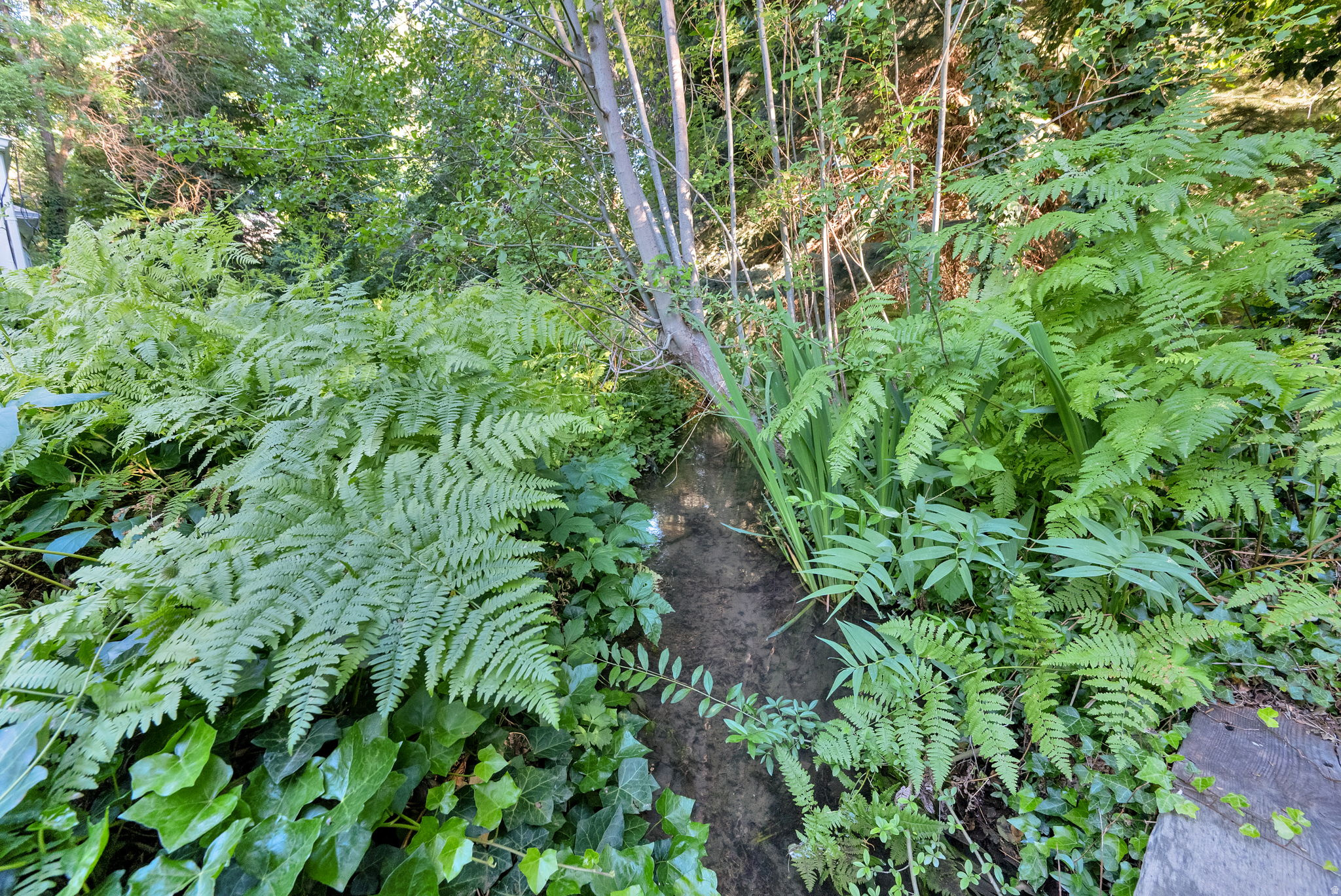 main property photo 52