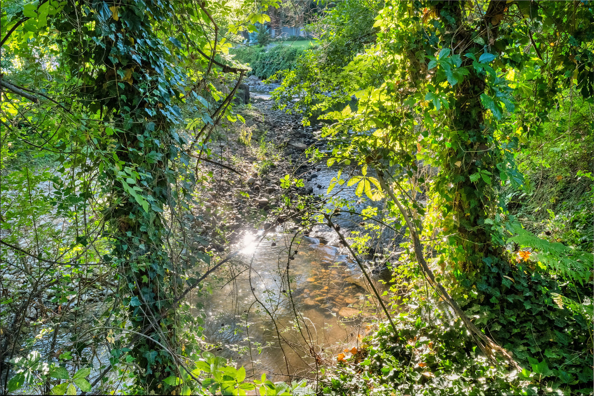 main property photo 53