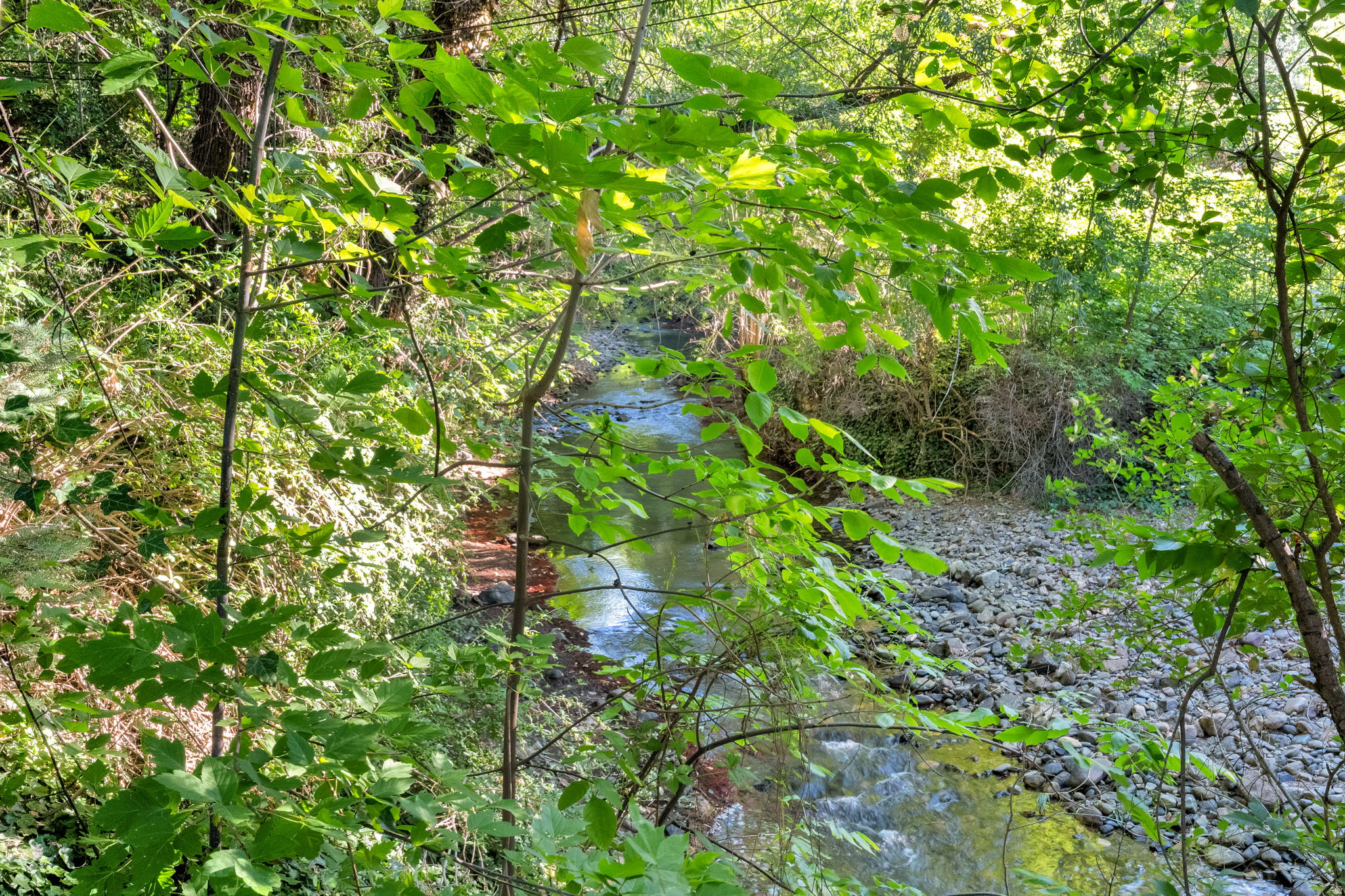 main property photo 54