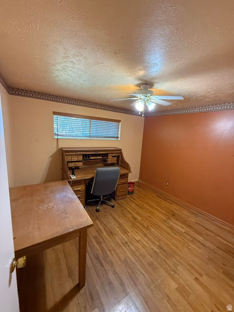 main property photo 28