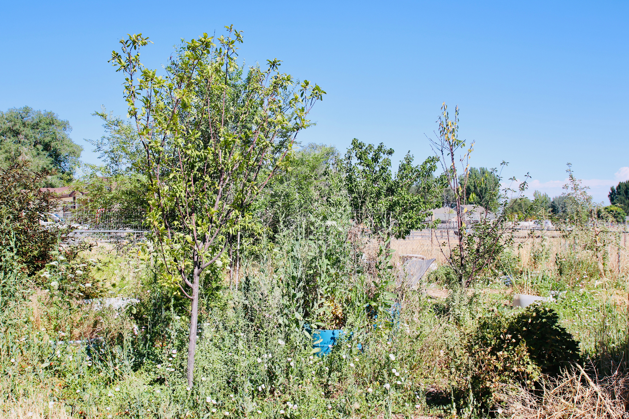 main property photo 38