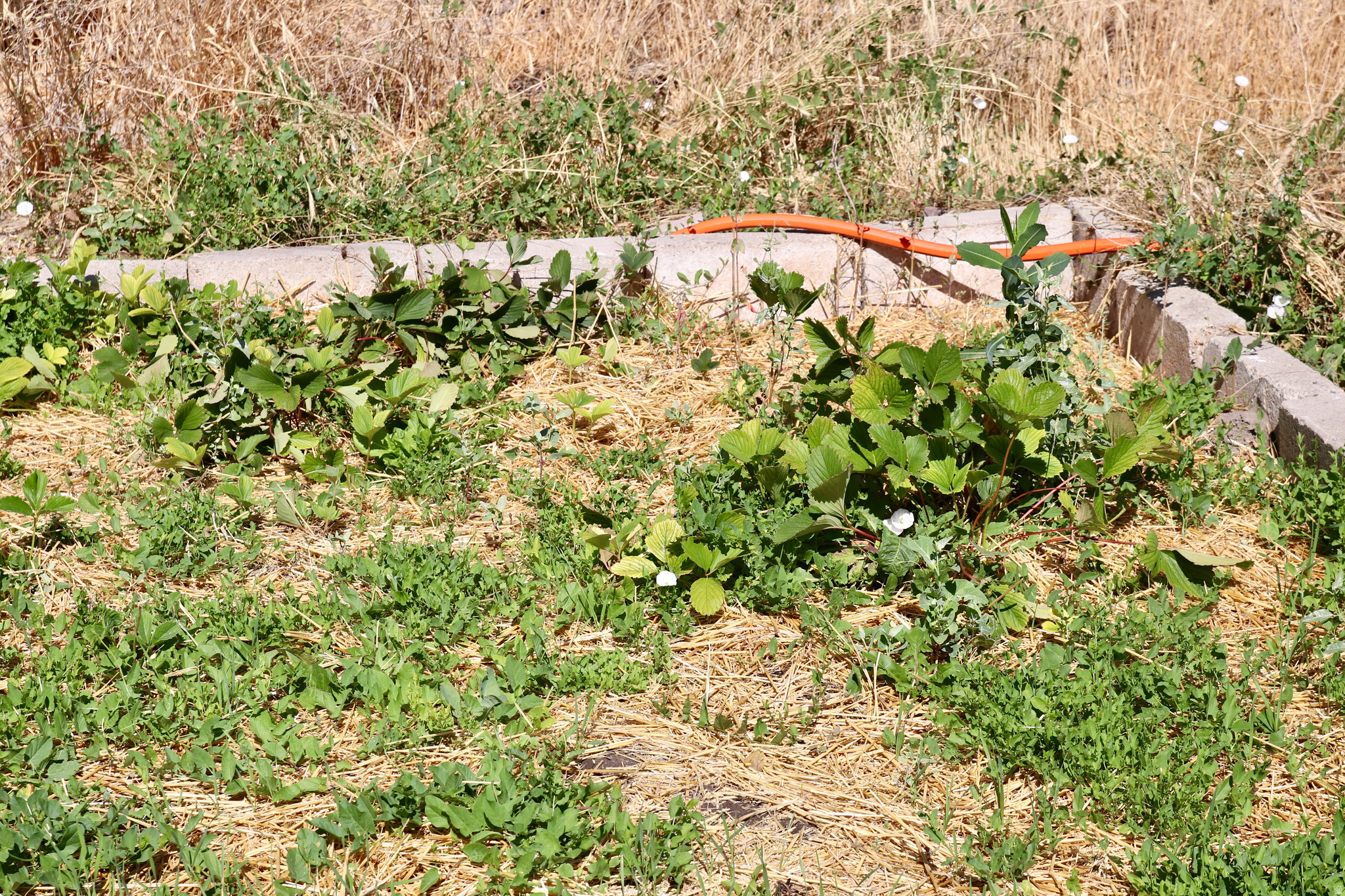 main property photo 39
