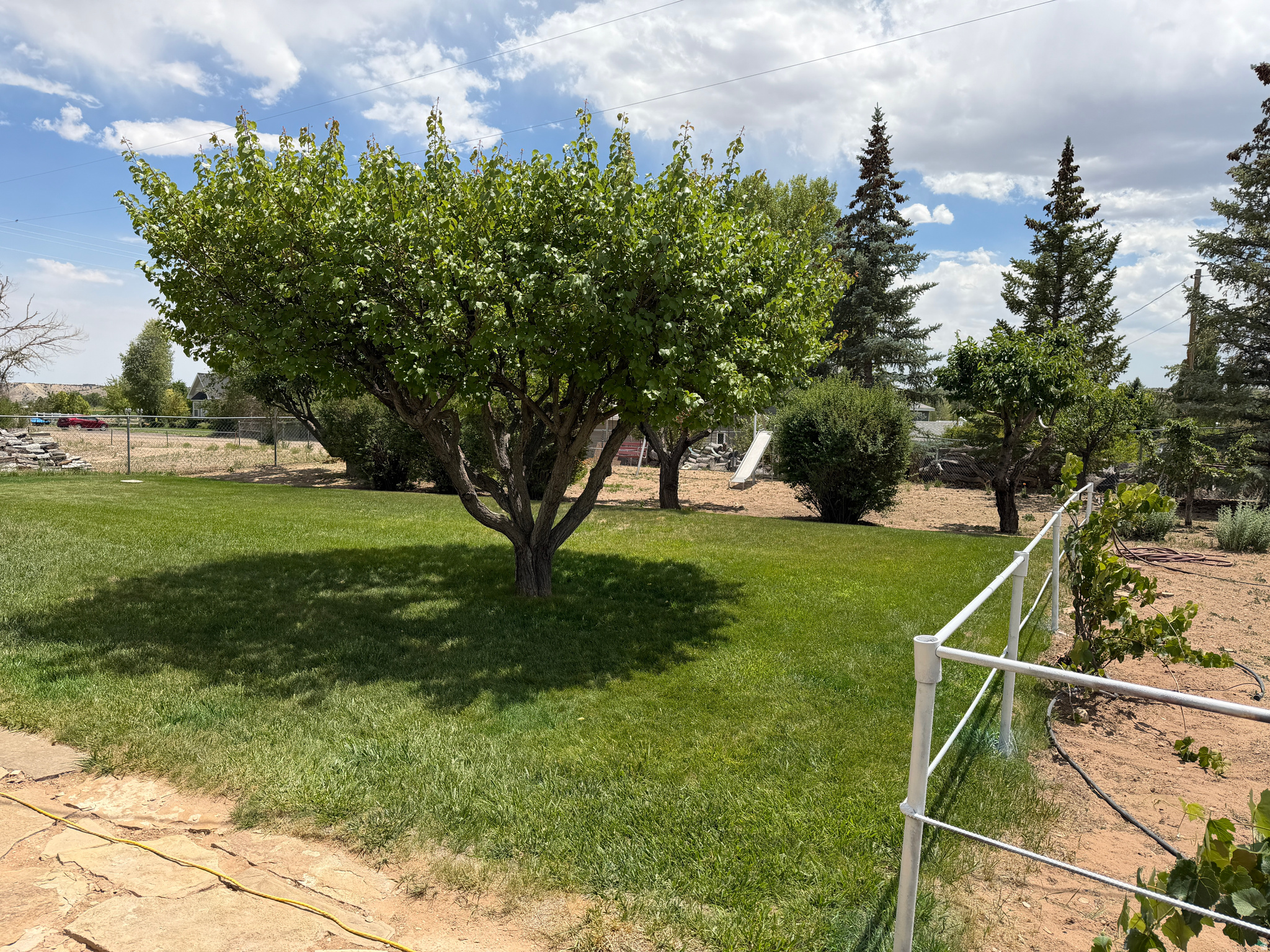 main property photo 42