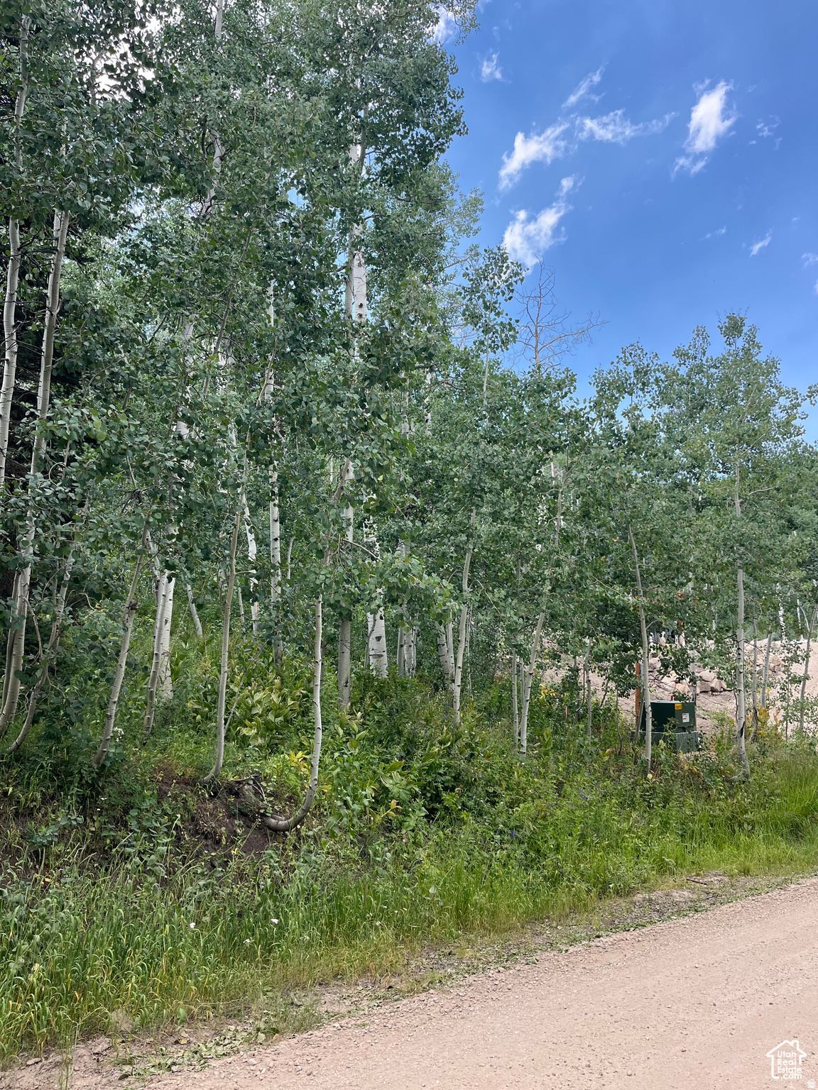 main property photo 6