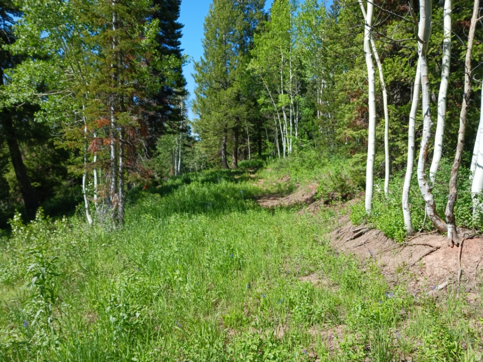 main property photo 0