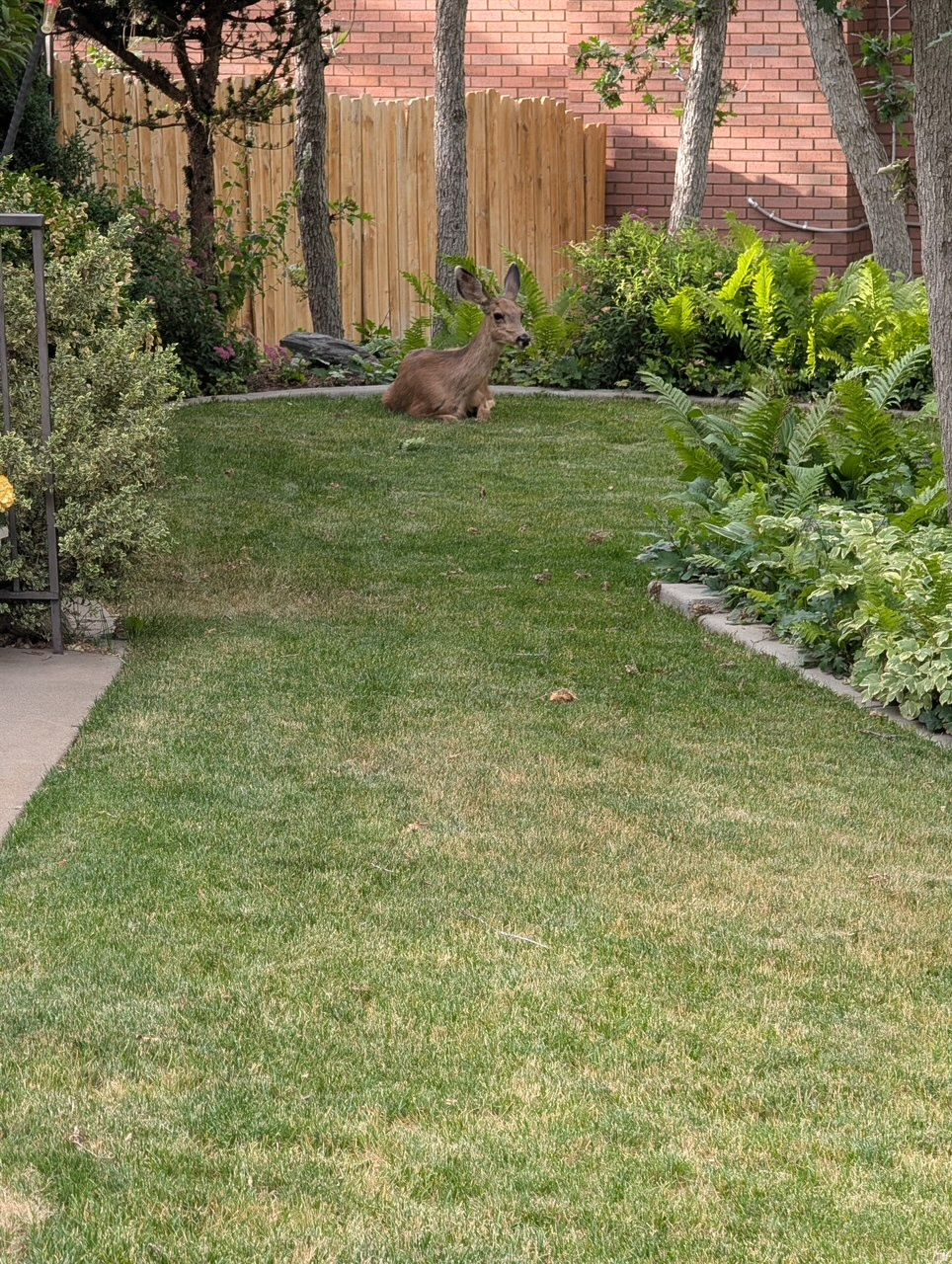 main property photo 49