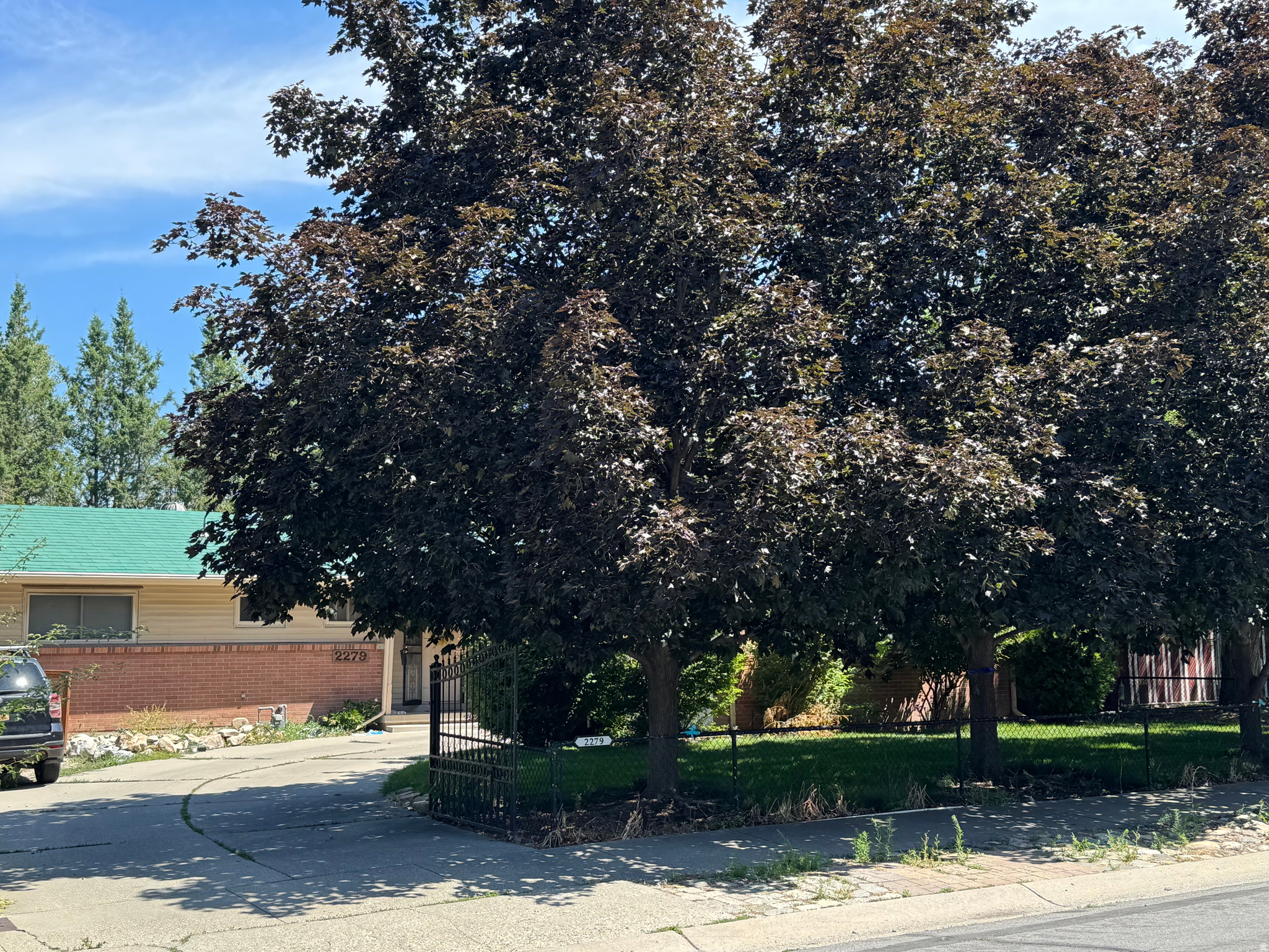 main property photo 37