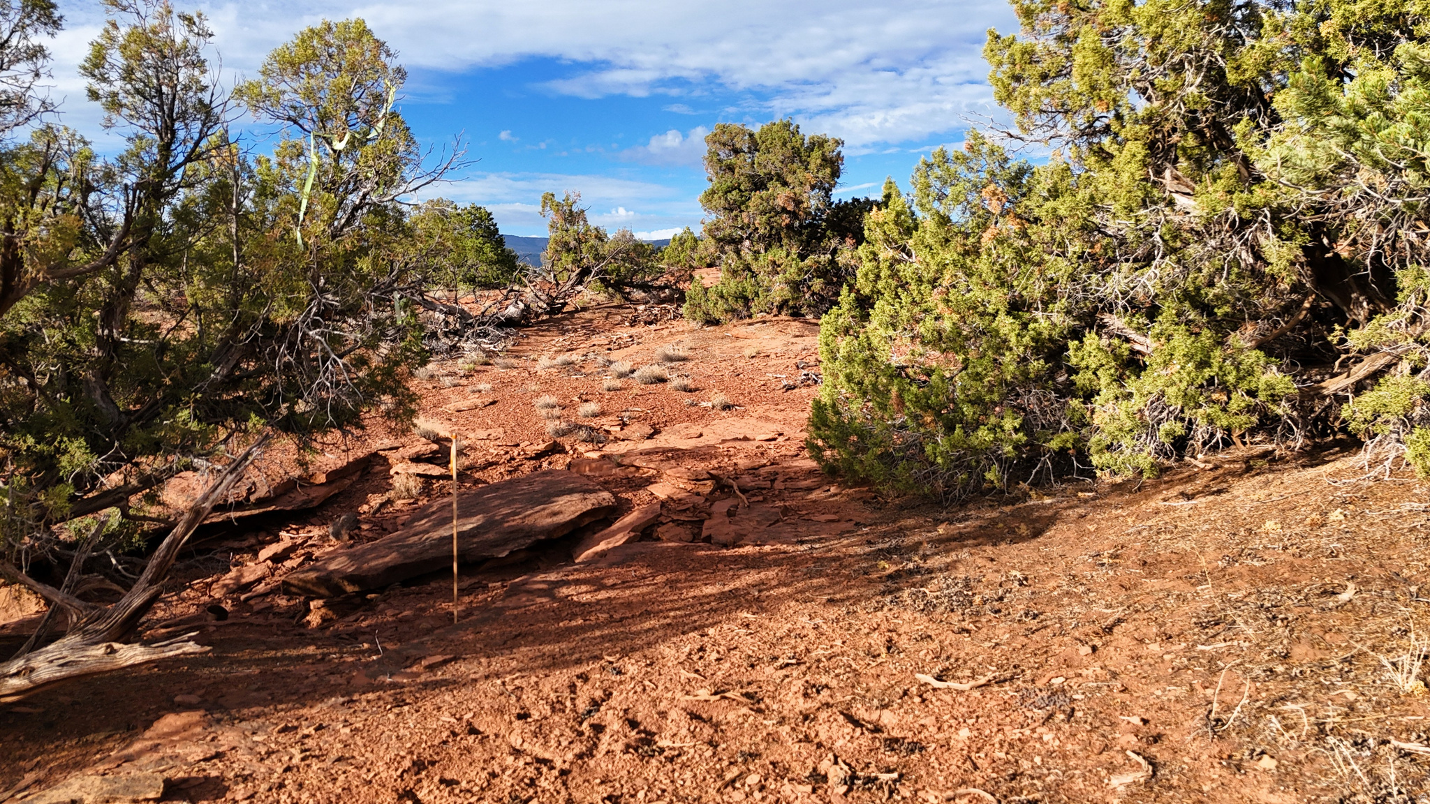 main property photo 57