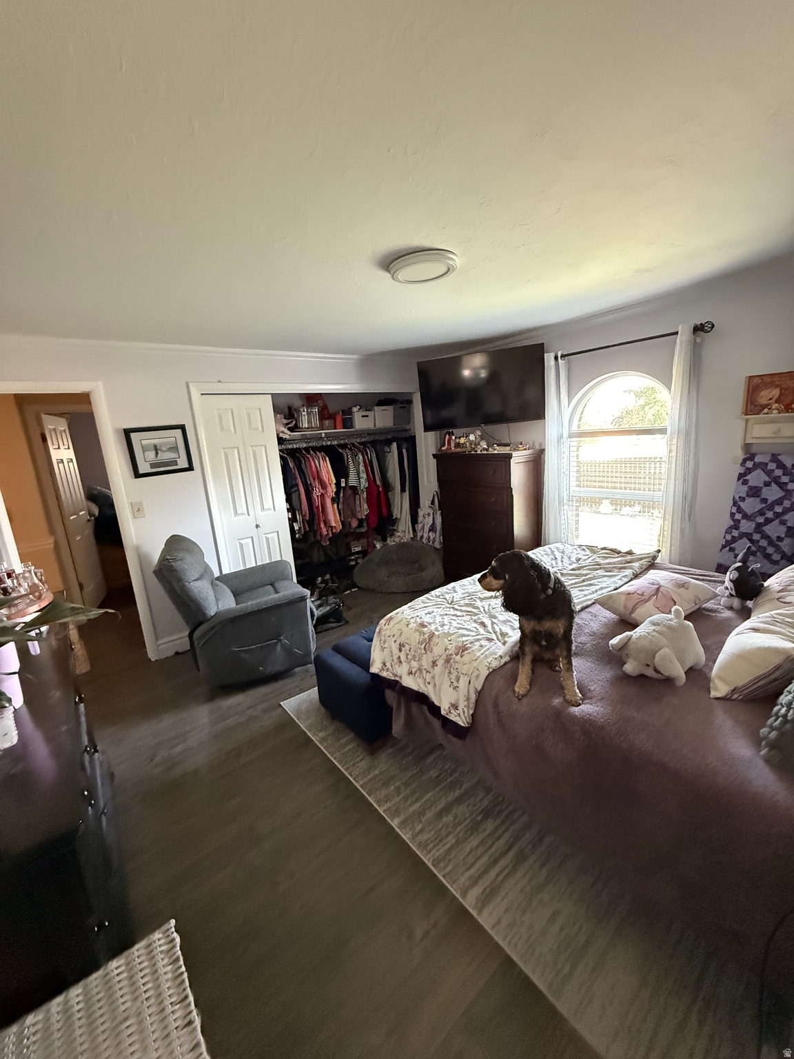 main property photo 11