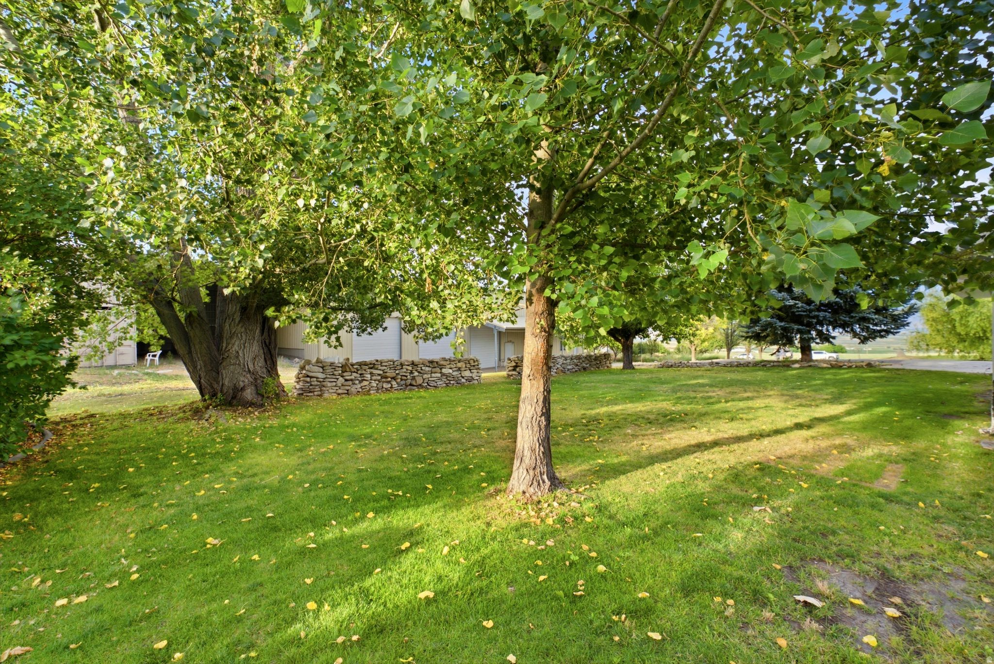 main property photo 11