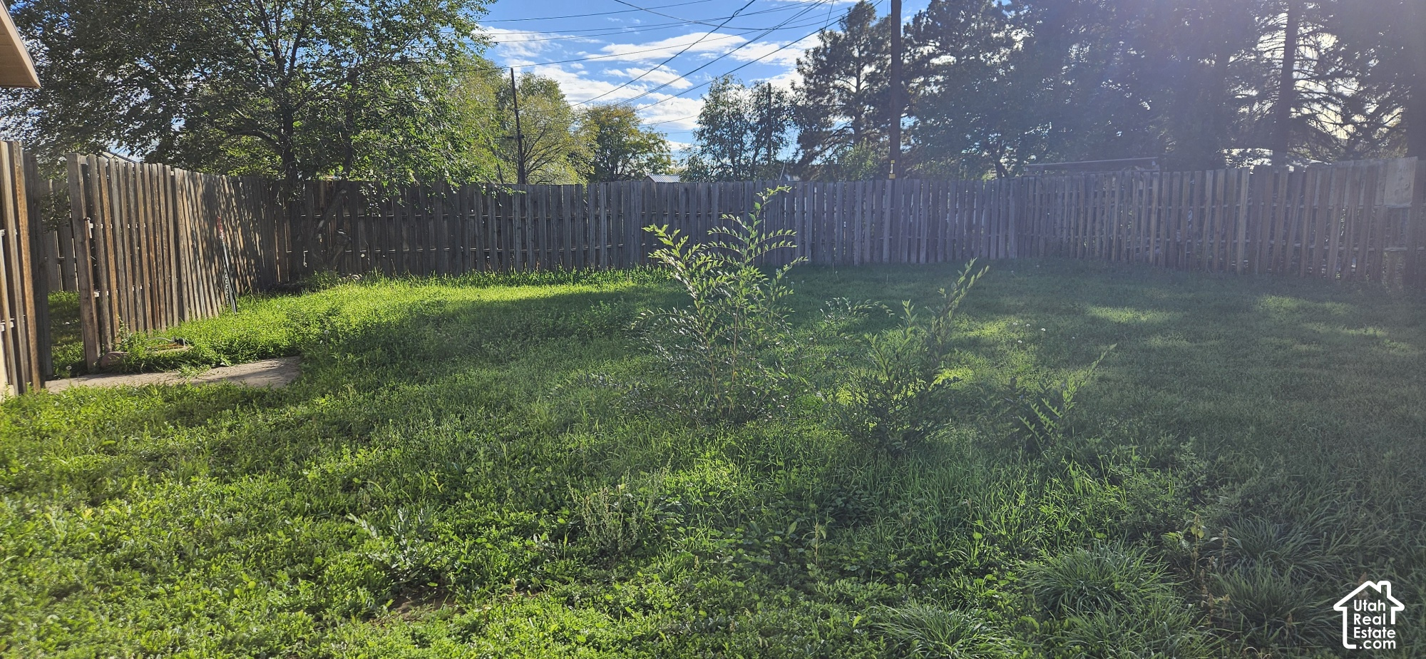main property photo 38