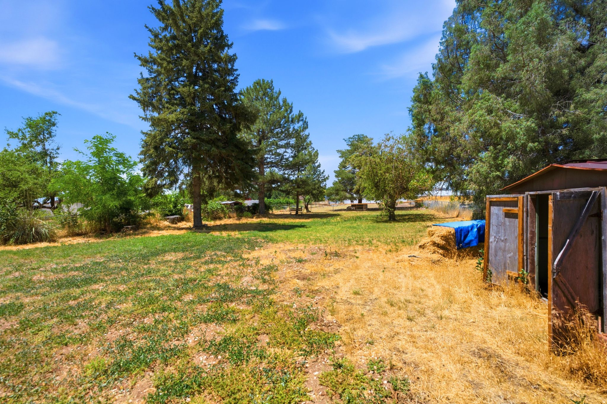 main property photo 27