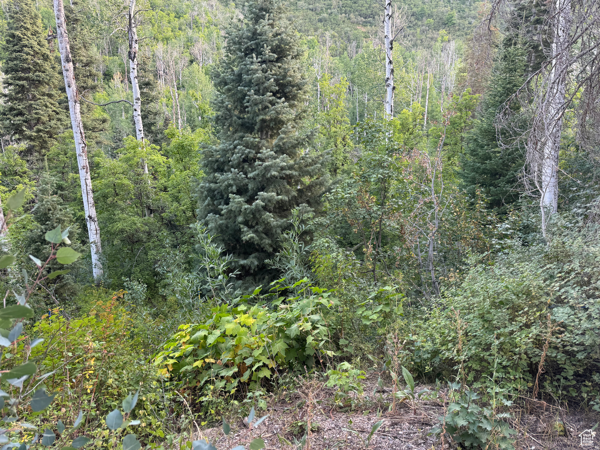 main property photo 0