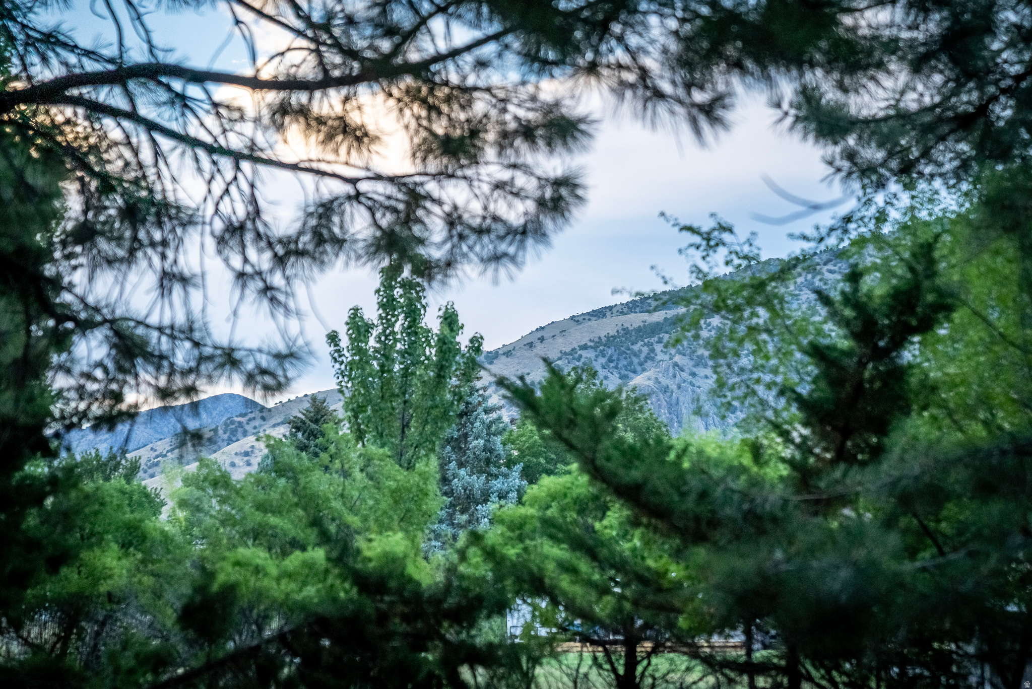 main property photo 50