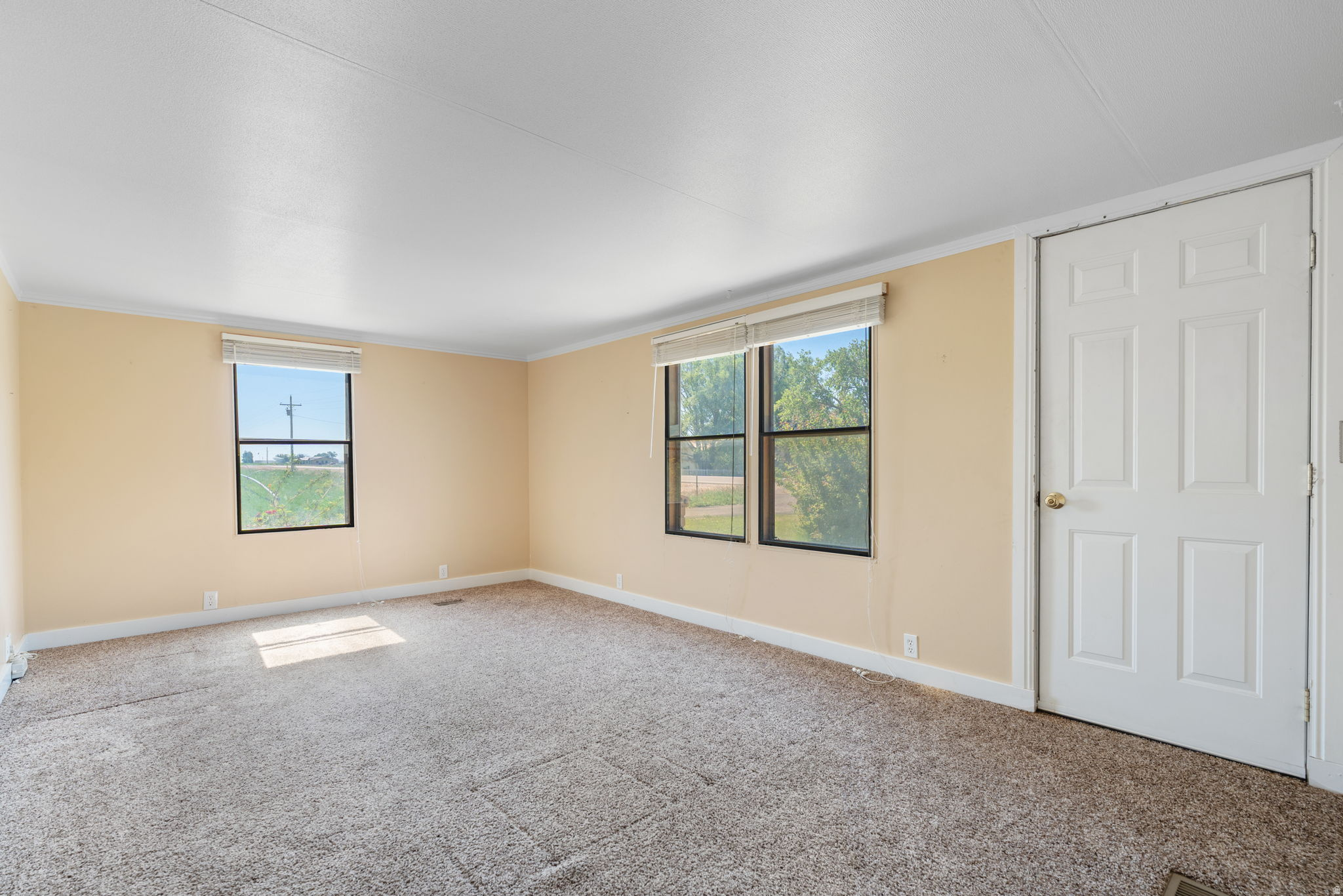main property photo 100