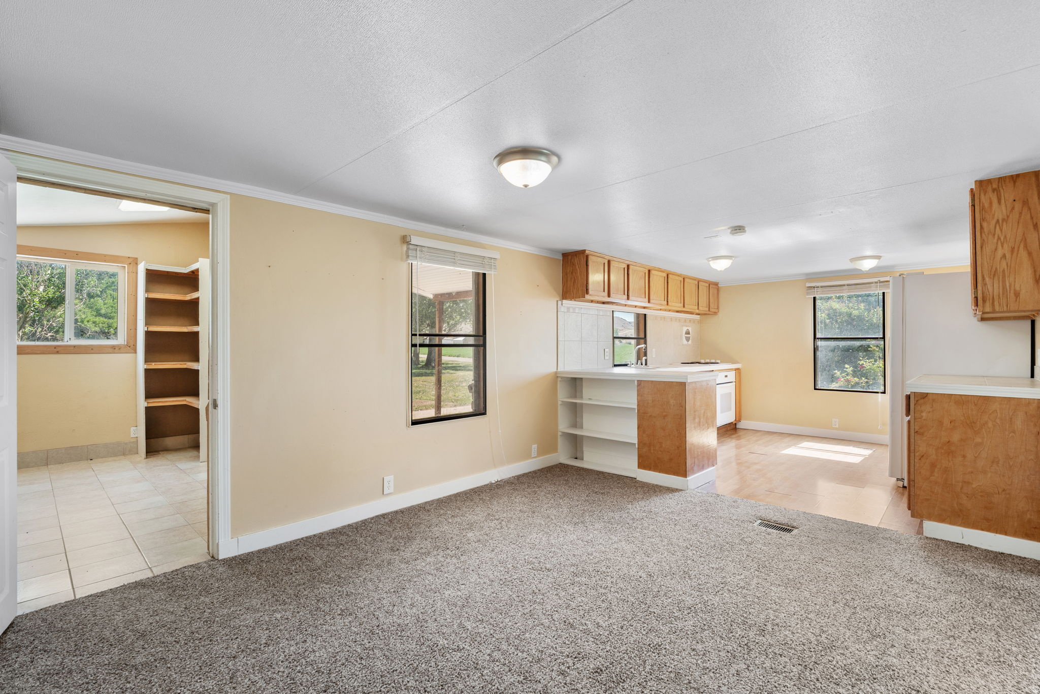 main property photo 92