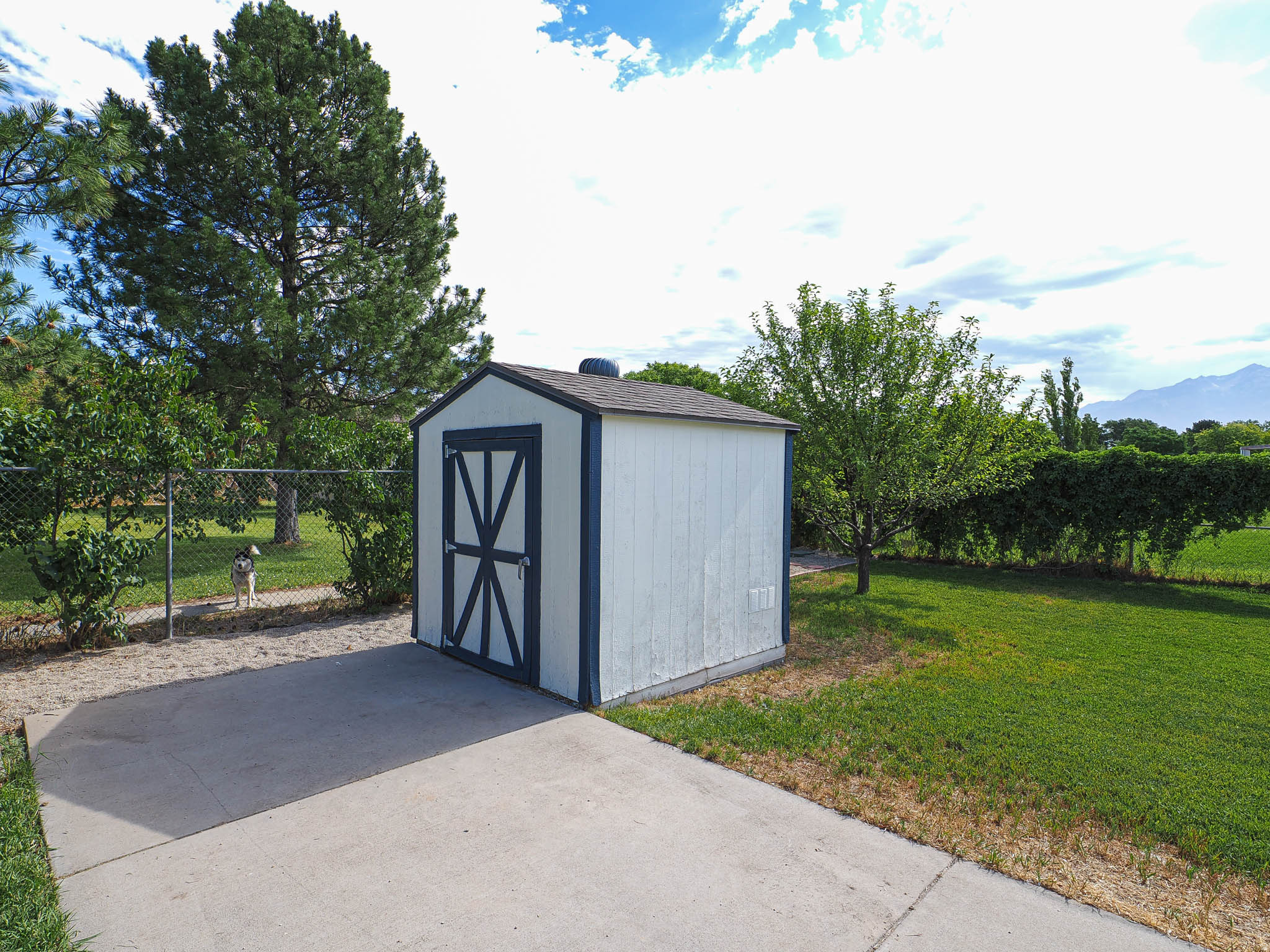 main property photo 53