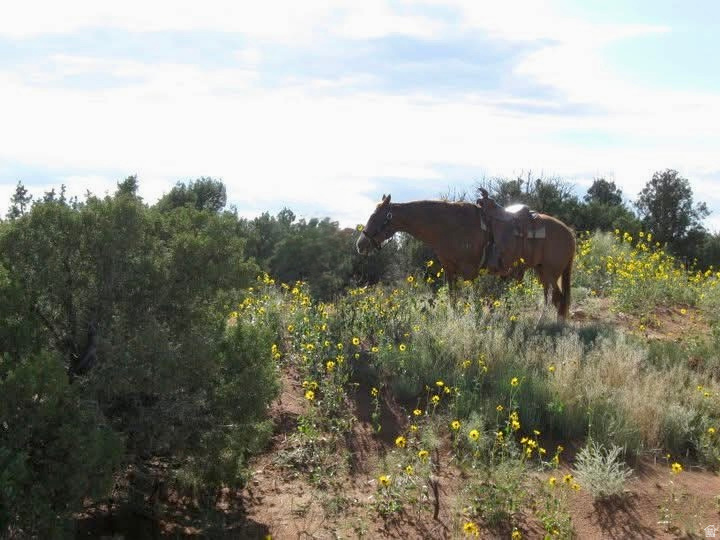 main property photo 0