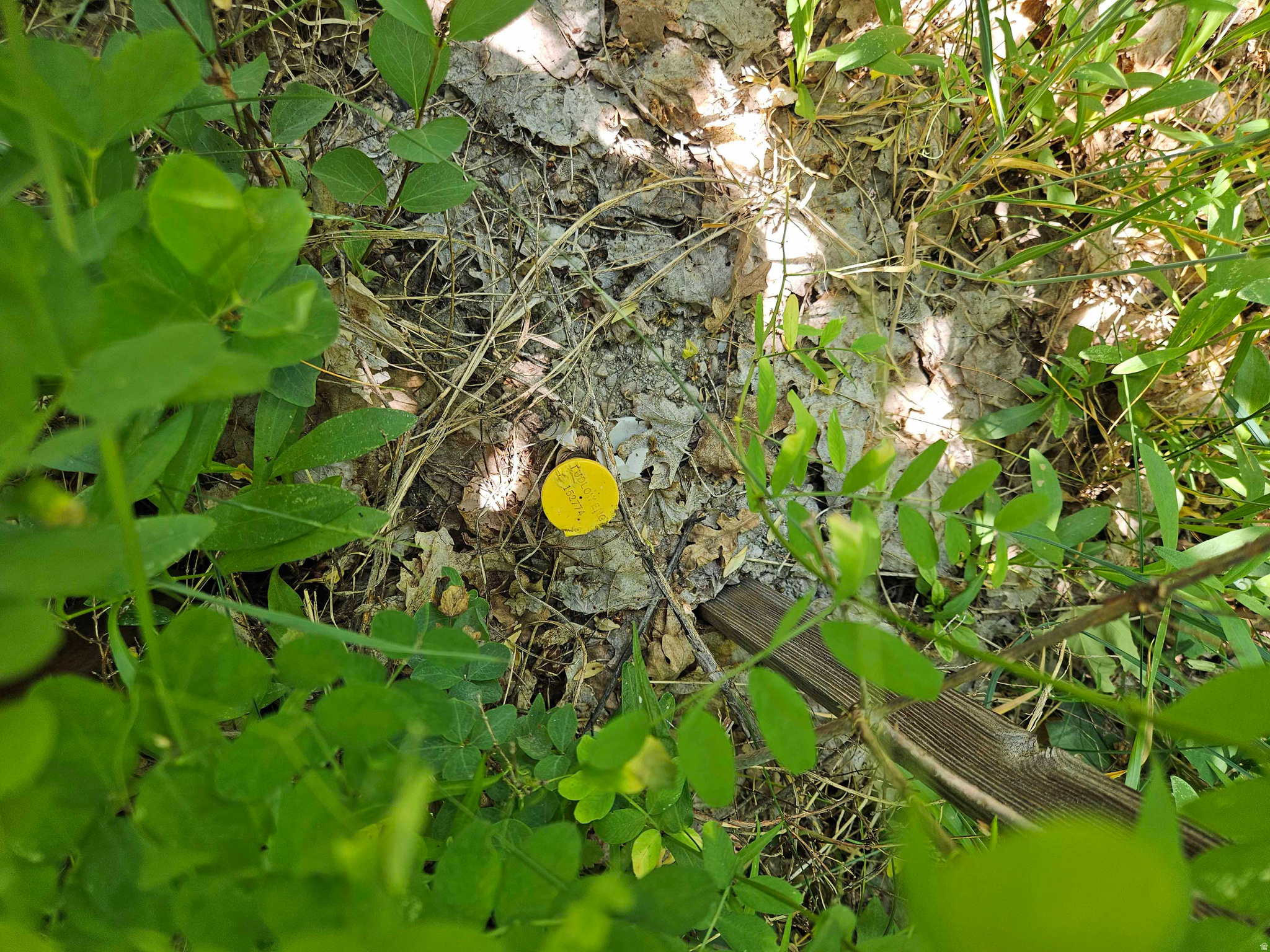 main property photo 12