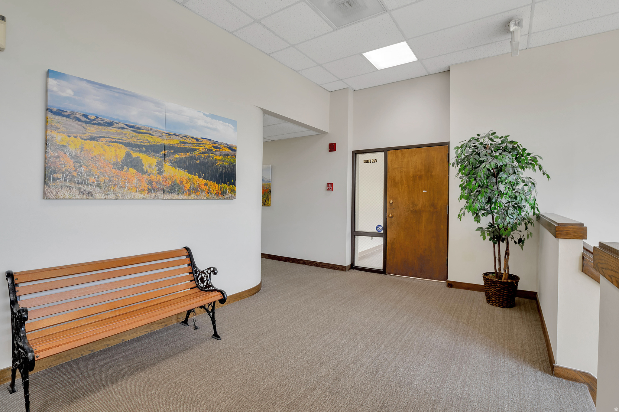 main property photo 14