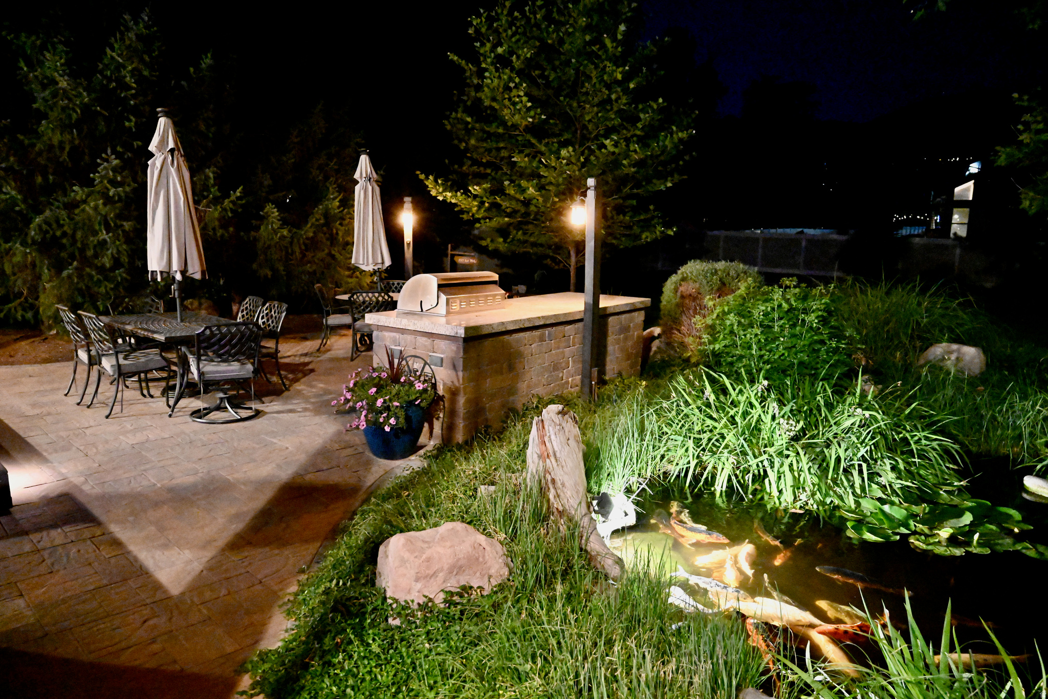 main property photo 53