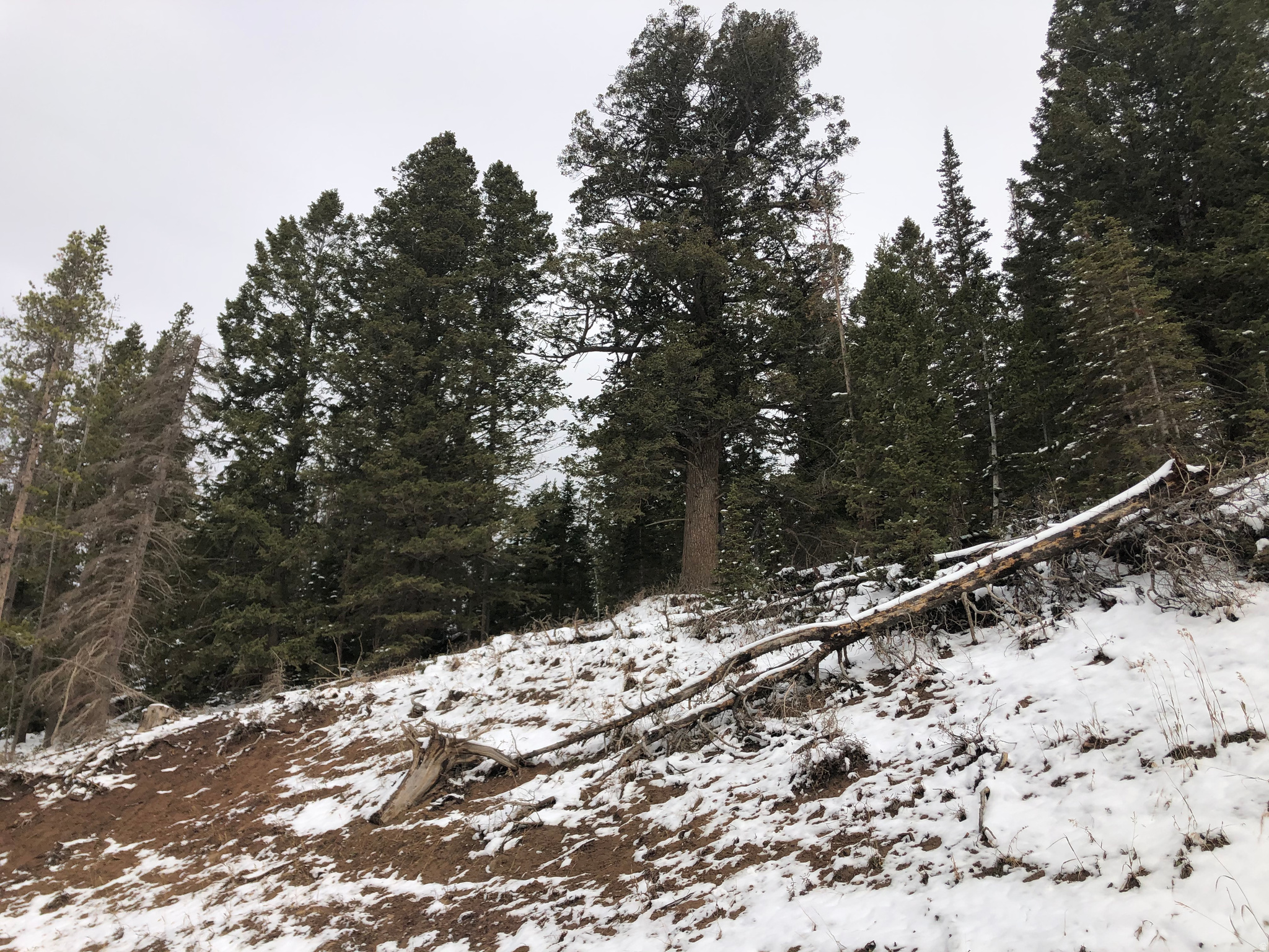 main property photo 0