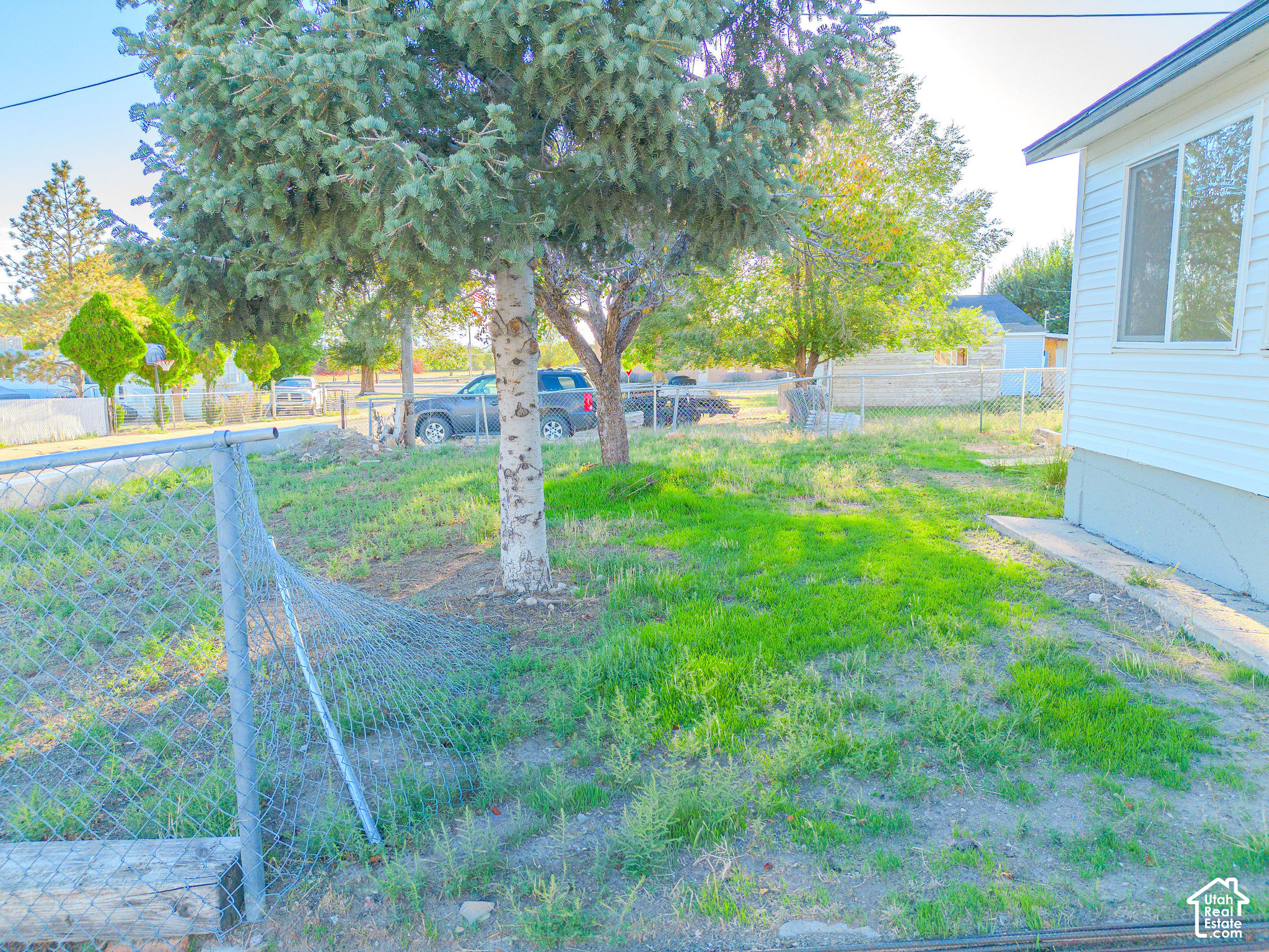 main property photo 31