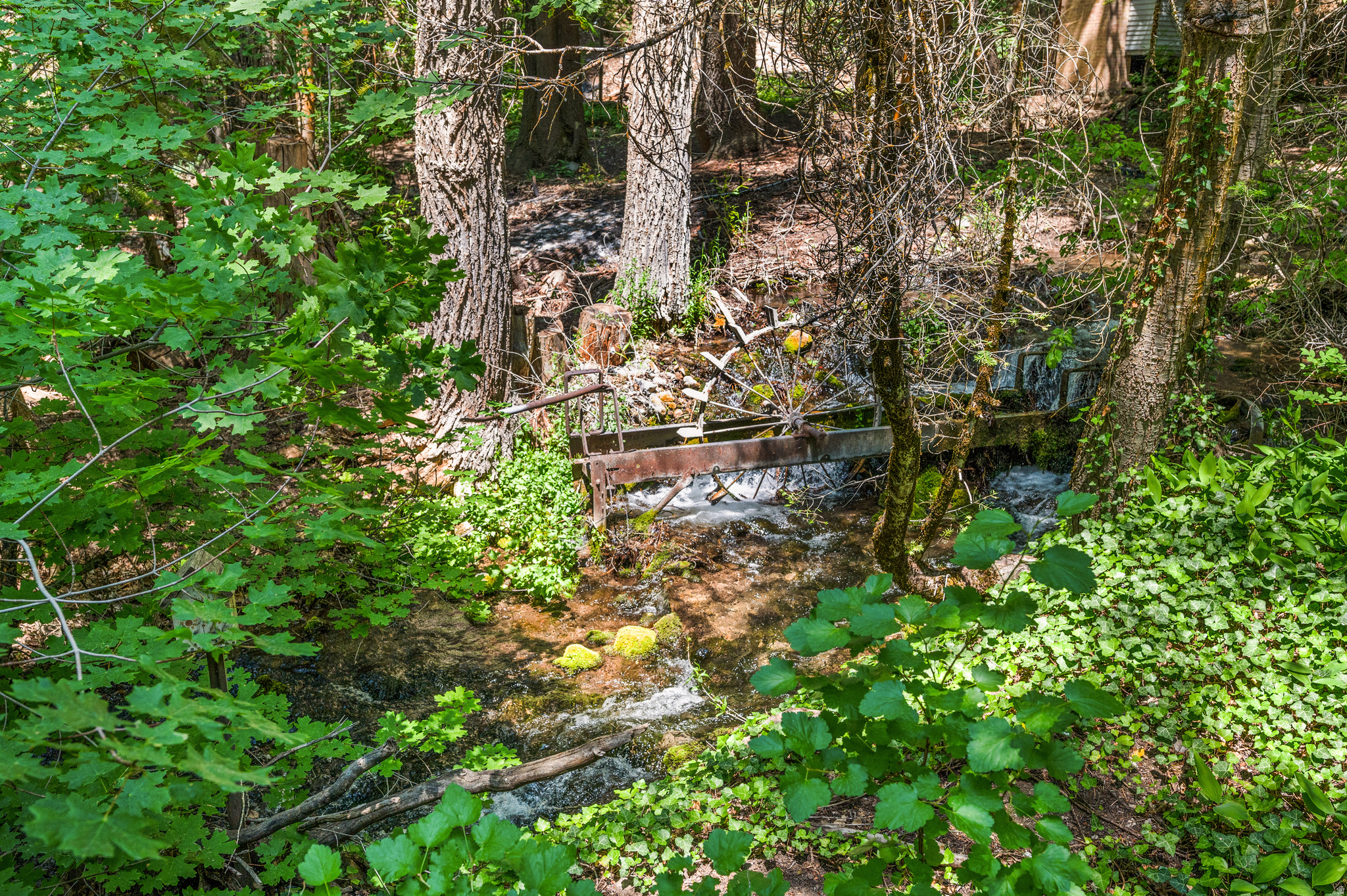 main property photo 25