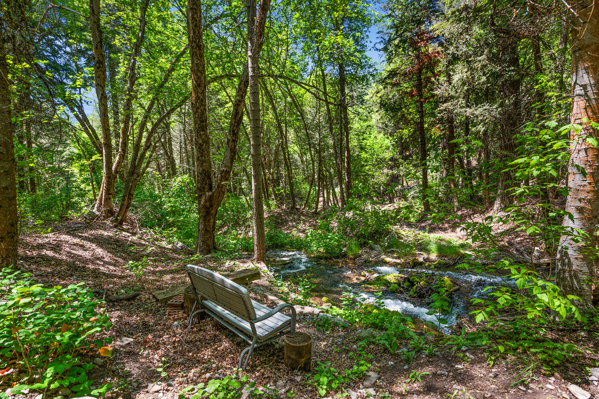 main property photo 29