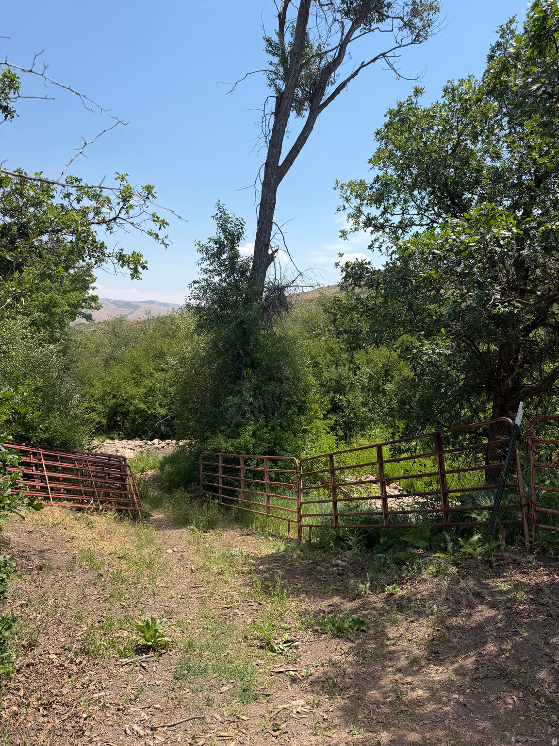 main property photo 14