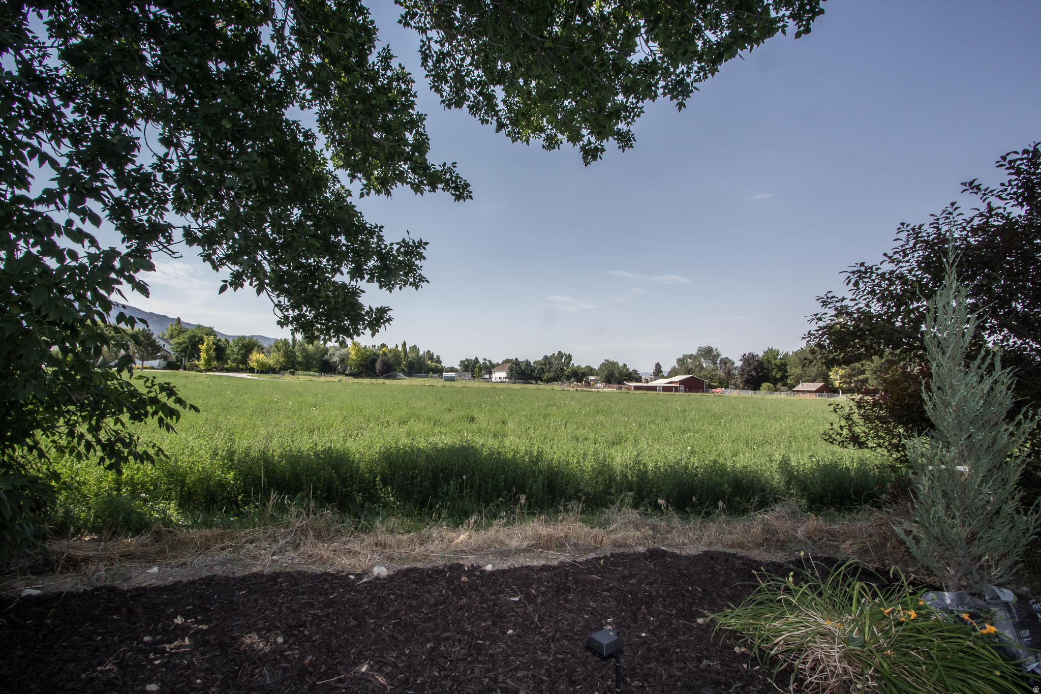 main property photo 66