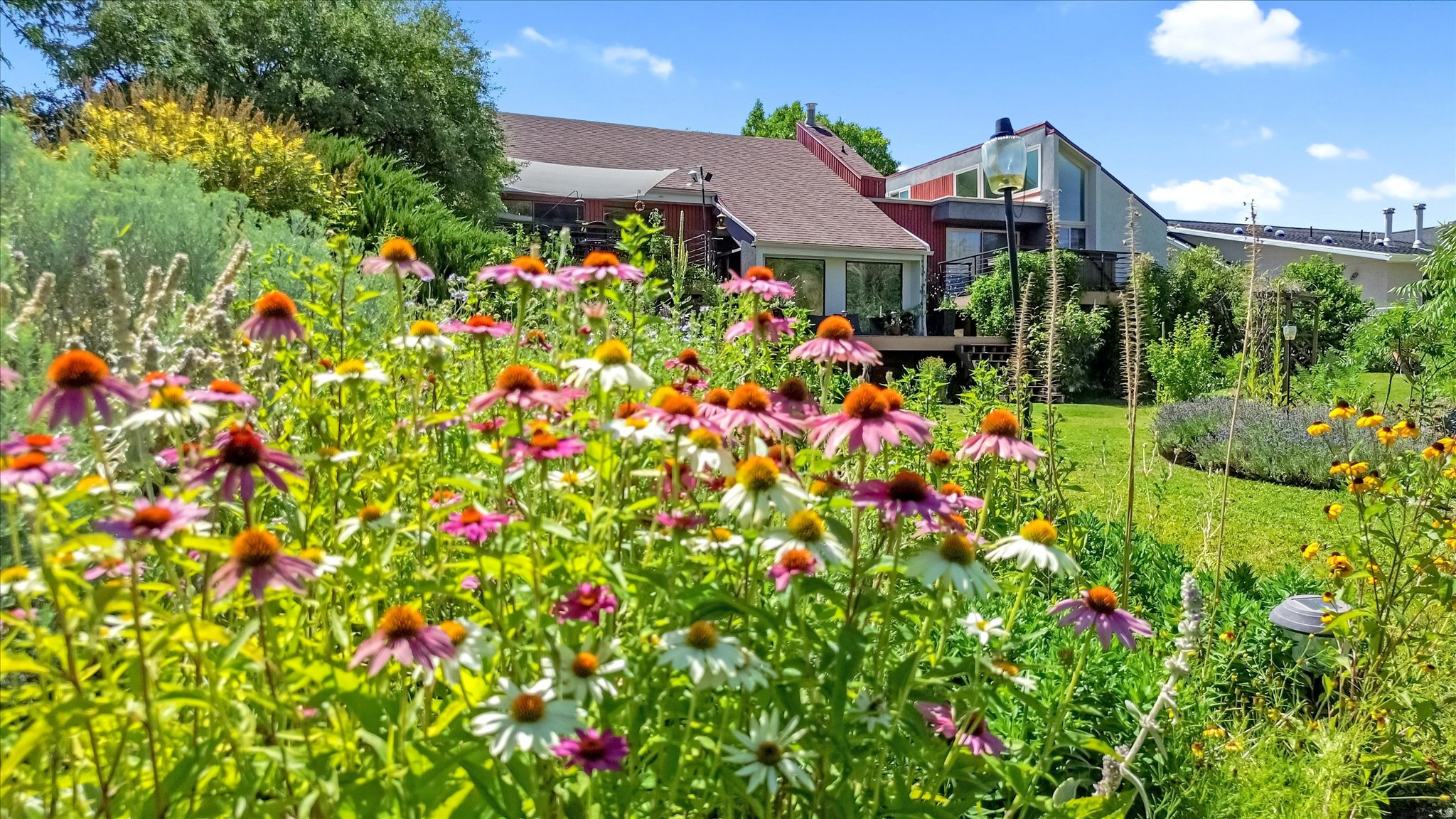 main property photo 62