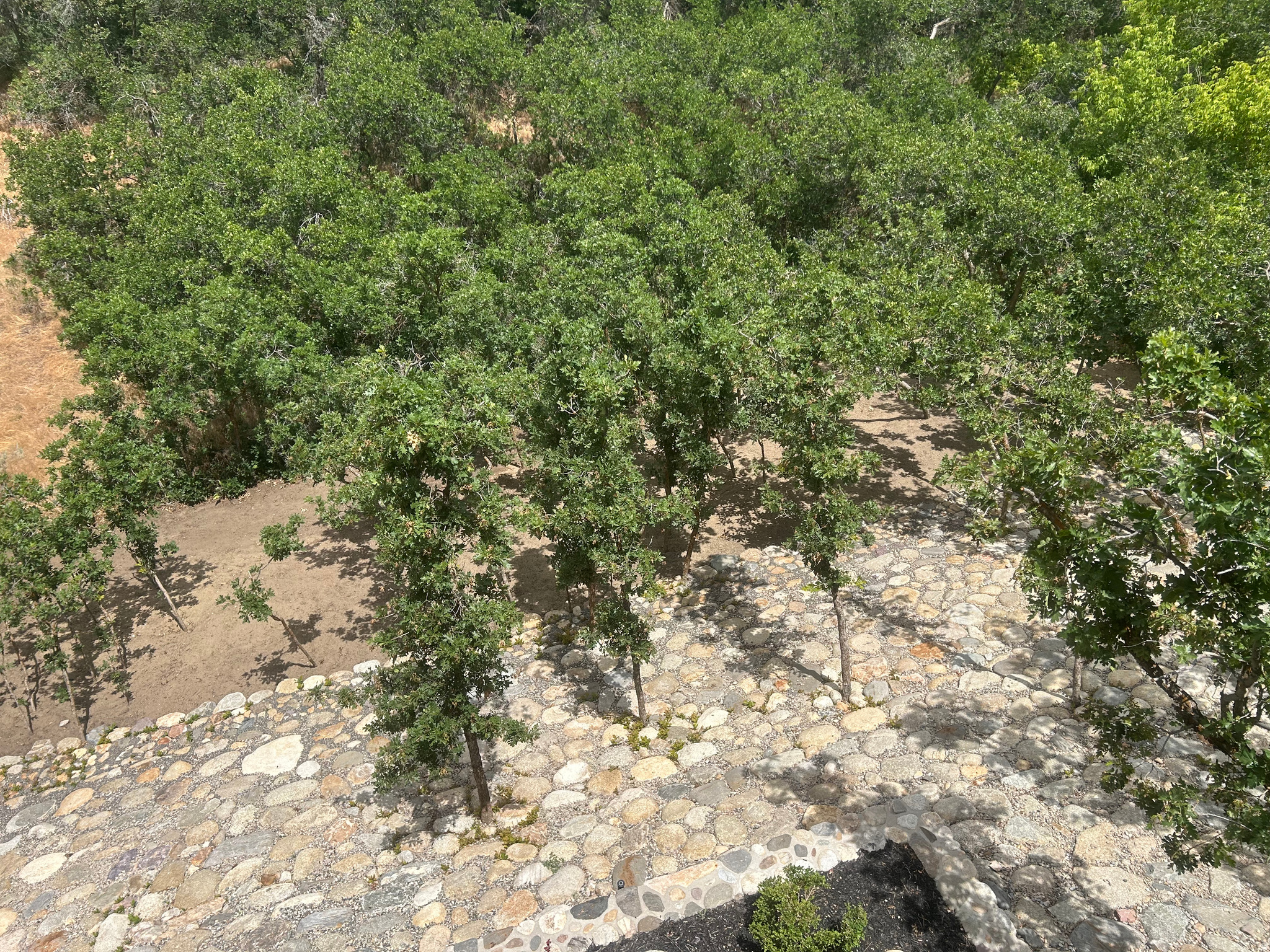 main property photo 37