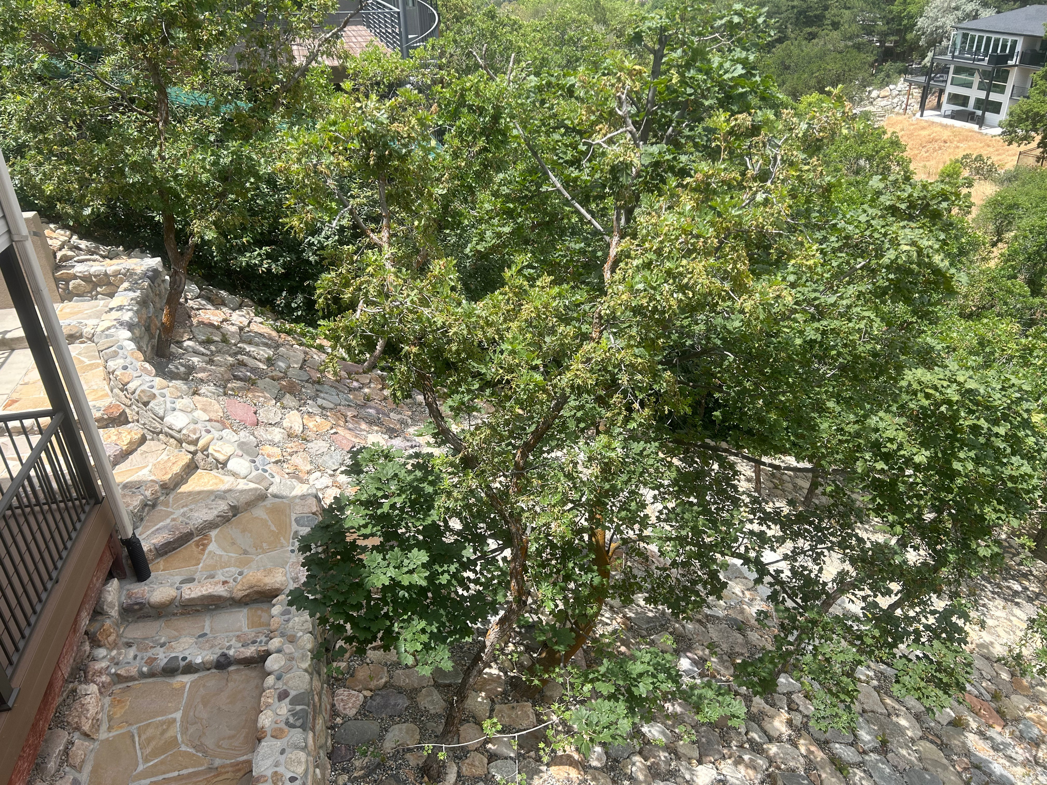 main property photo 38