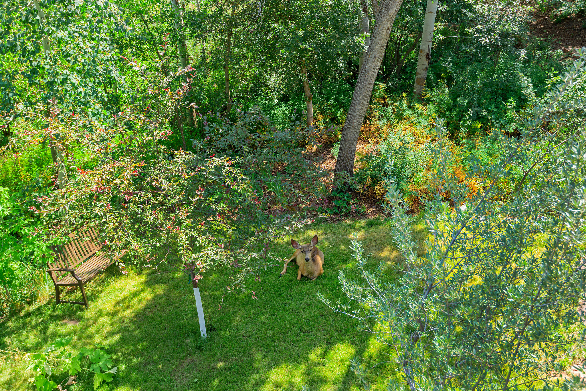 main property photo 16