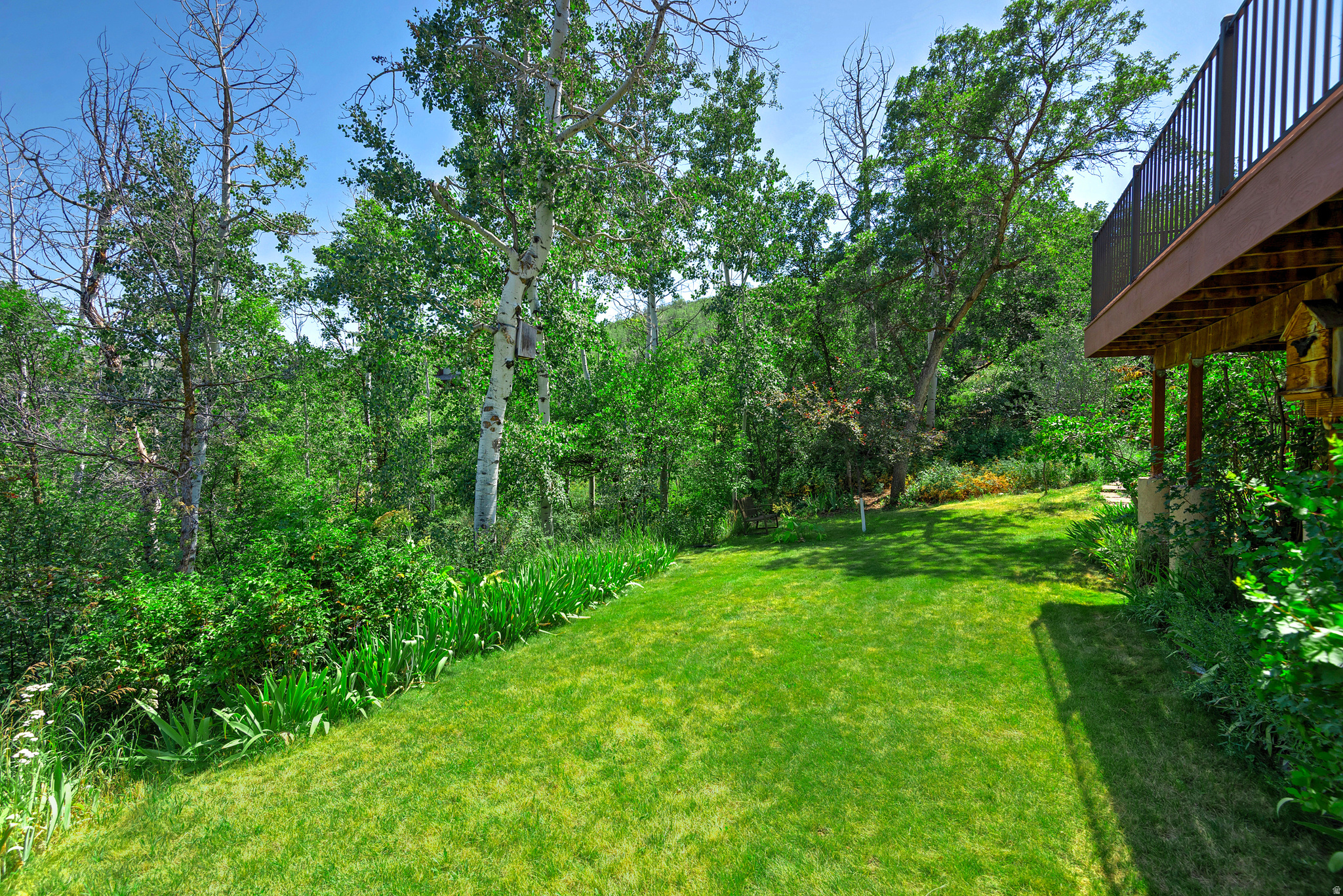 main property photo 44